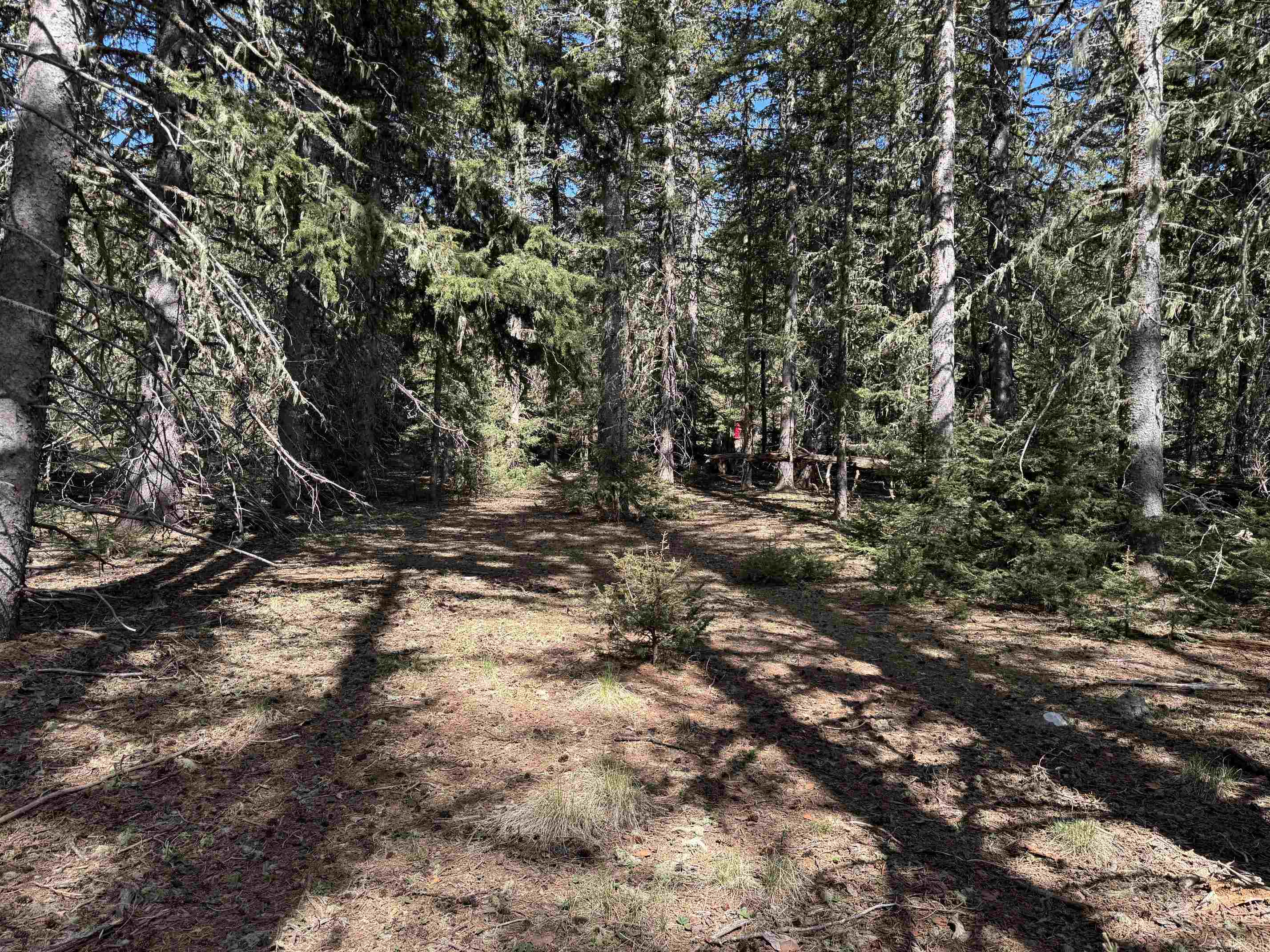 Lot 74 Happy Way, Angel Fire, New Mexico image 11