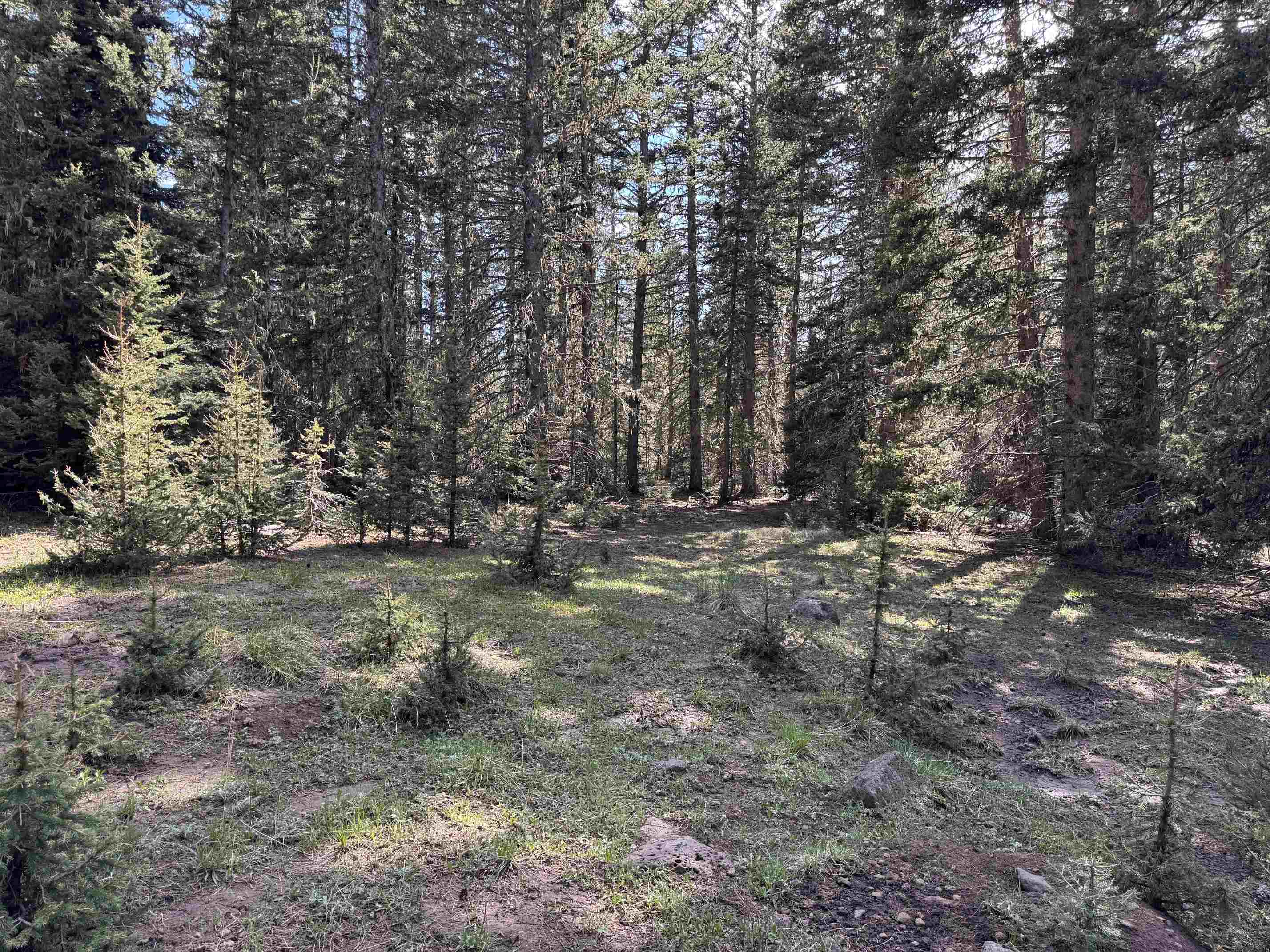 Lot 74 Happy Way, Angel Fire, New Mexico image 5