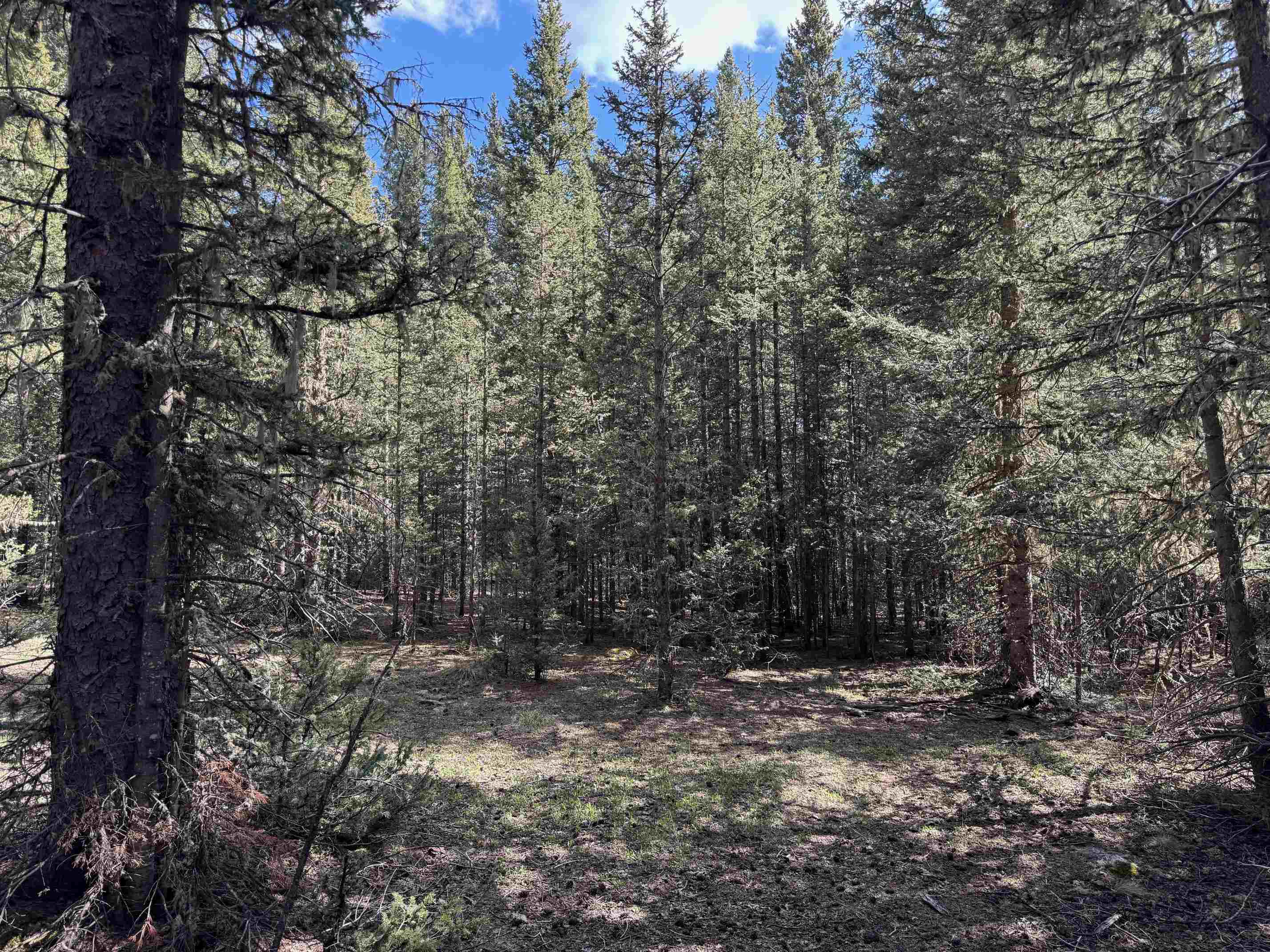Lot 74 Happy Way, Angel Fire, New Mexico image 16