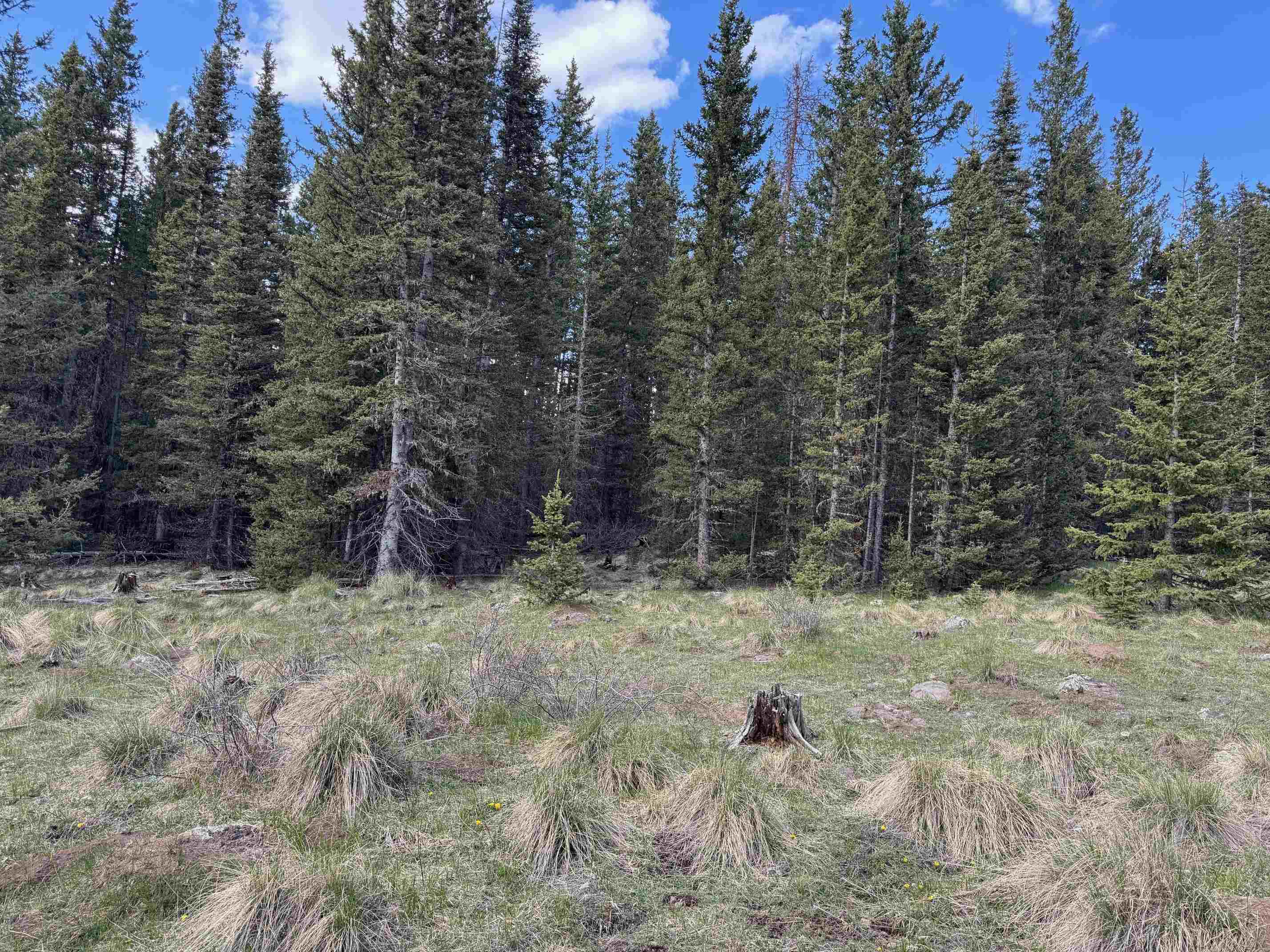 Lot 74 Happy Way, Angel Fire, New Mexico image 21