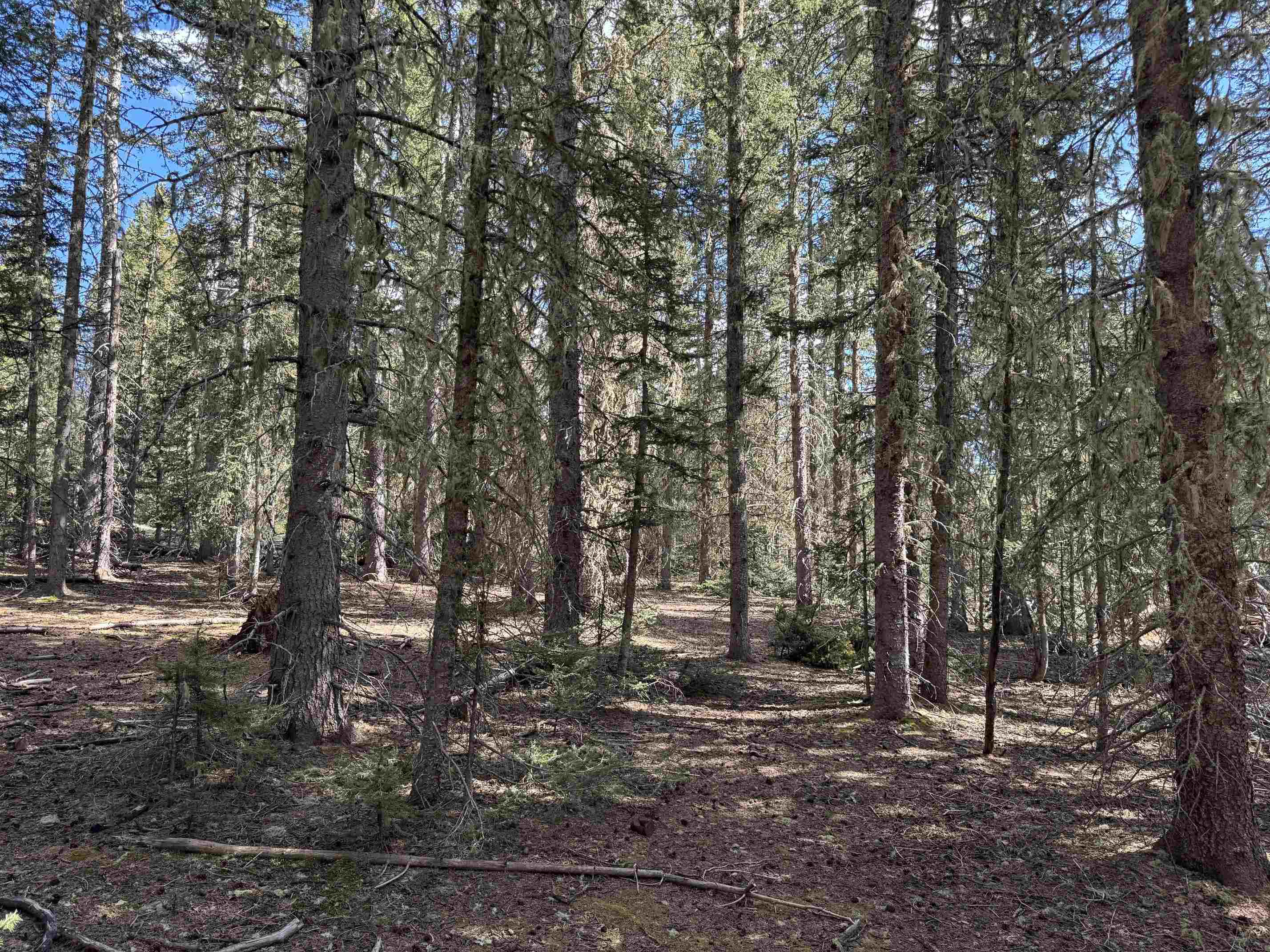 Lot 74 Happy Way, Angel Fire, New Mexico image 18