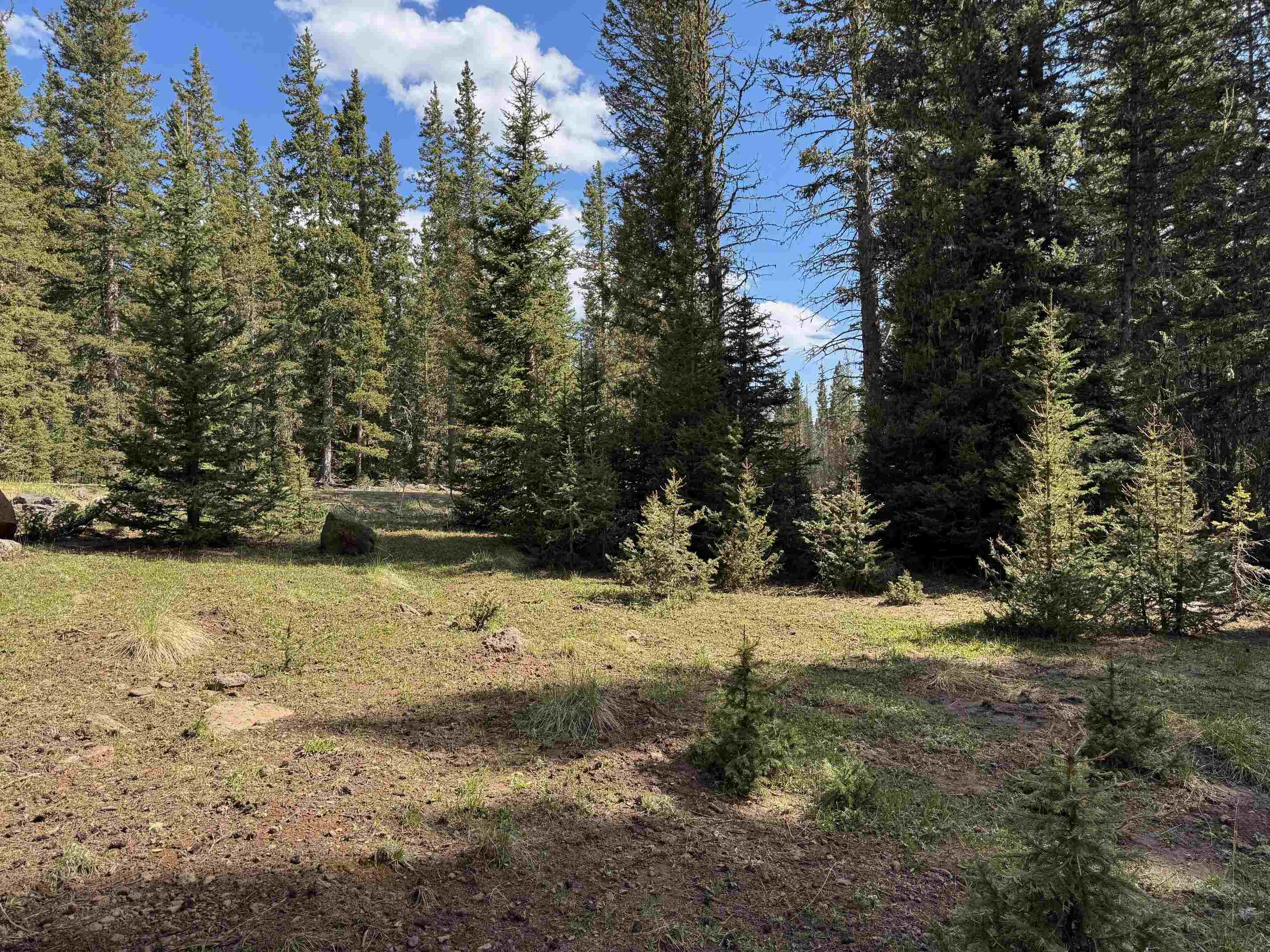 Lot 74 Happy Way, Angel Fire, New Mexico image 1