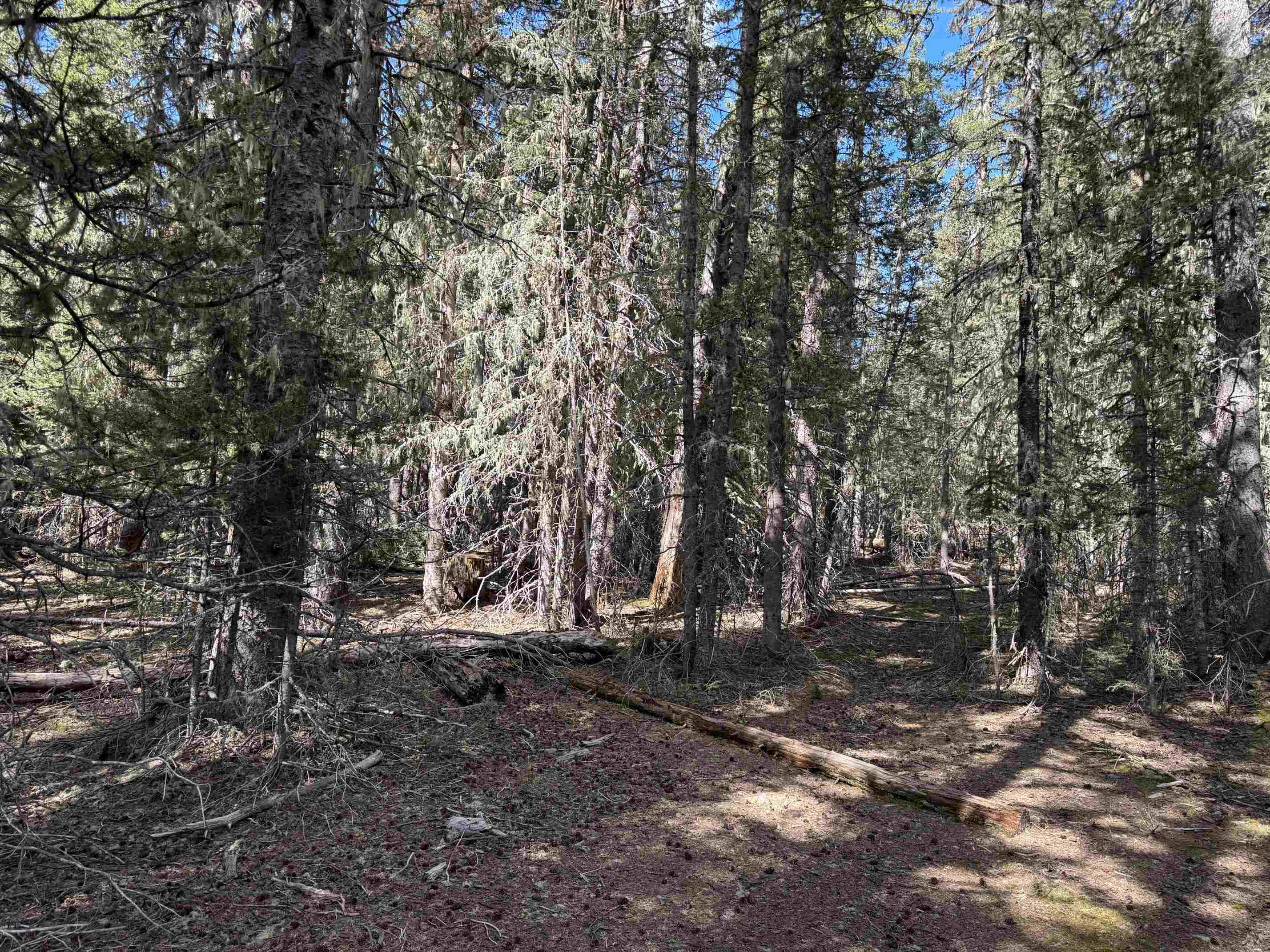 Lot 74 Happy Way, Angel Fire, New Mexico image 15