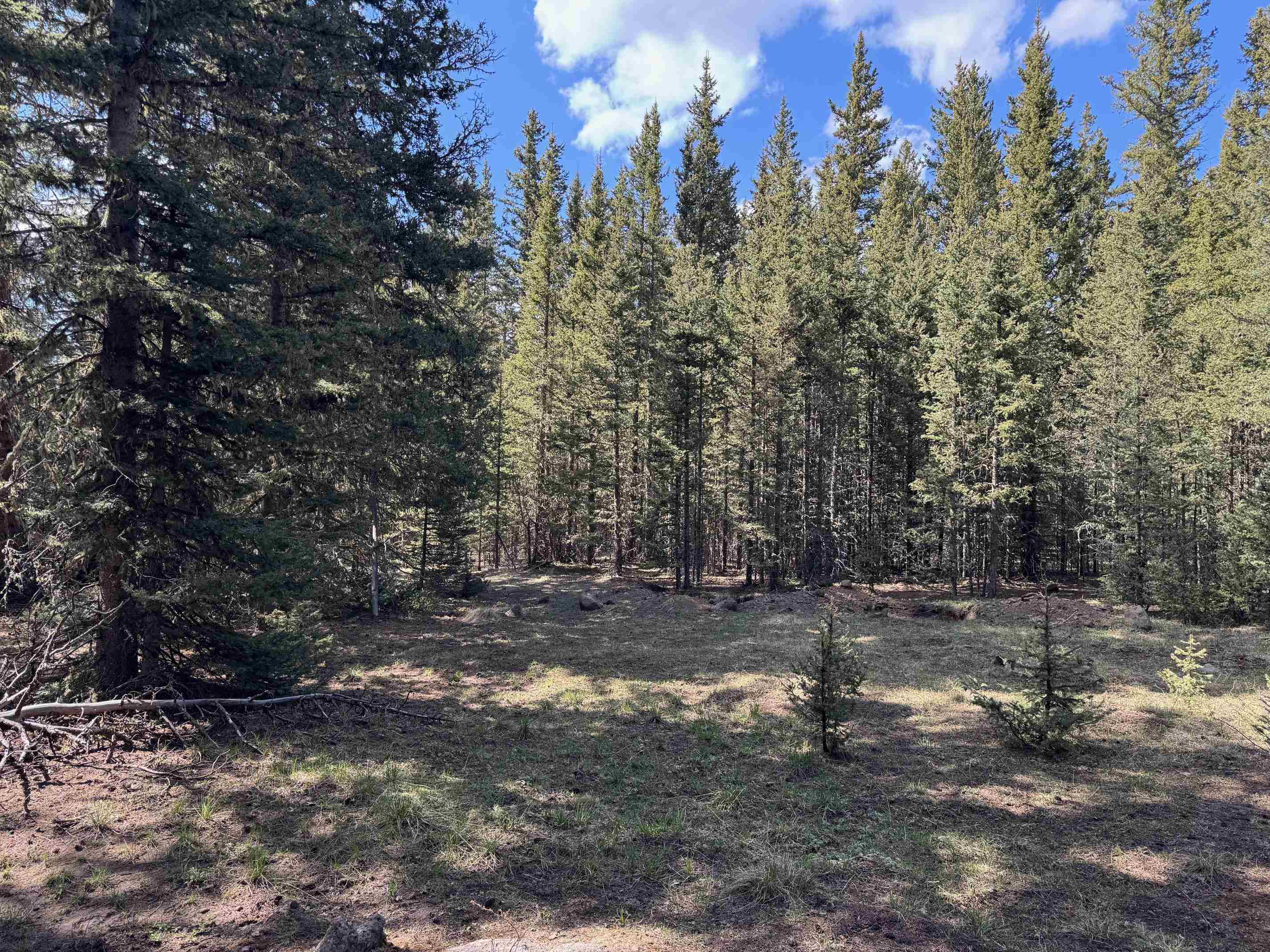 Lot 74 Happy Way, Angel Fire, New Mexico image 2