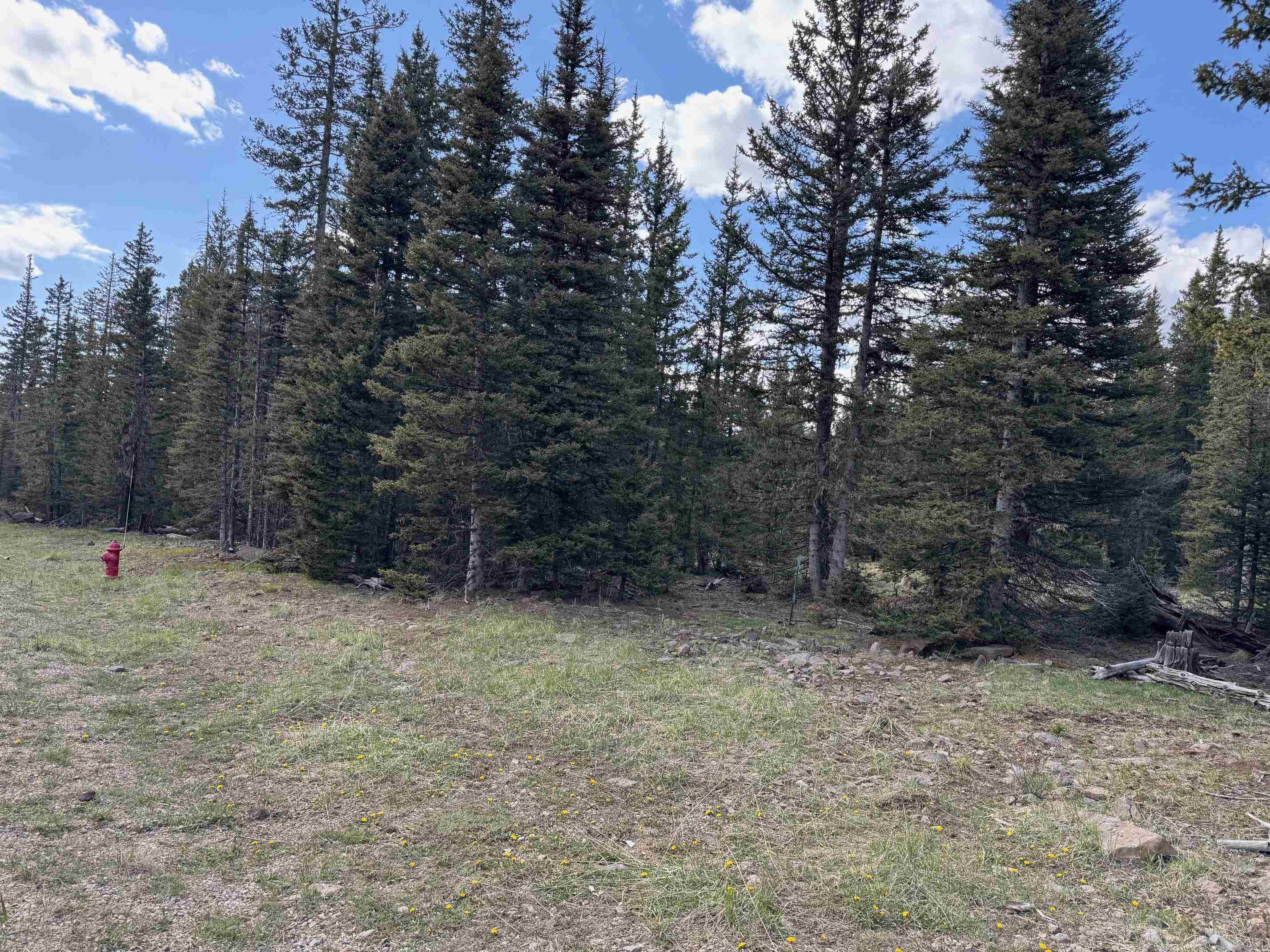 Lot 74 Happy Way, Angel Fire, New Mexico image 19