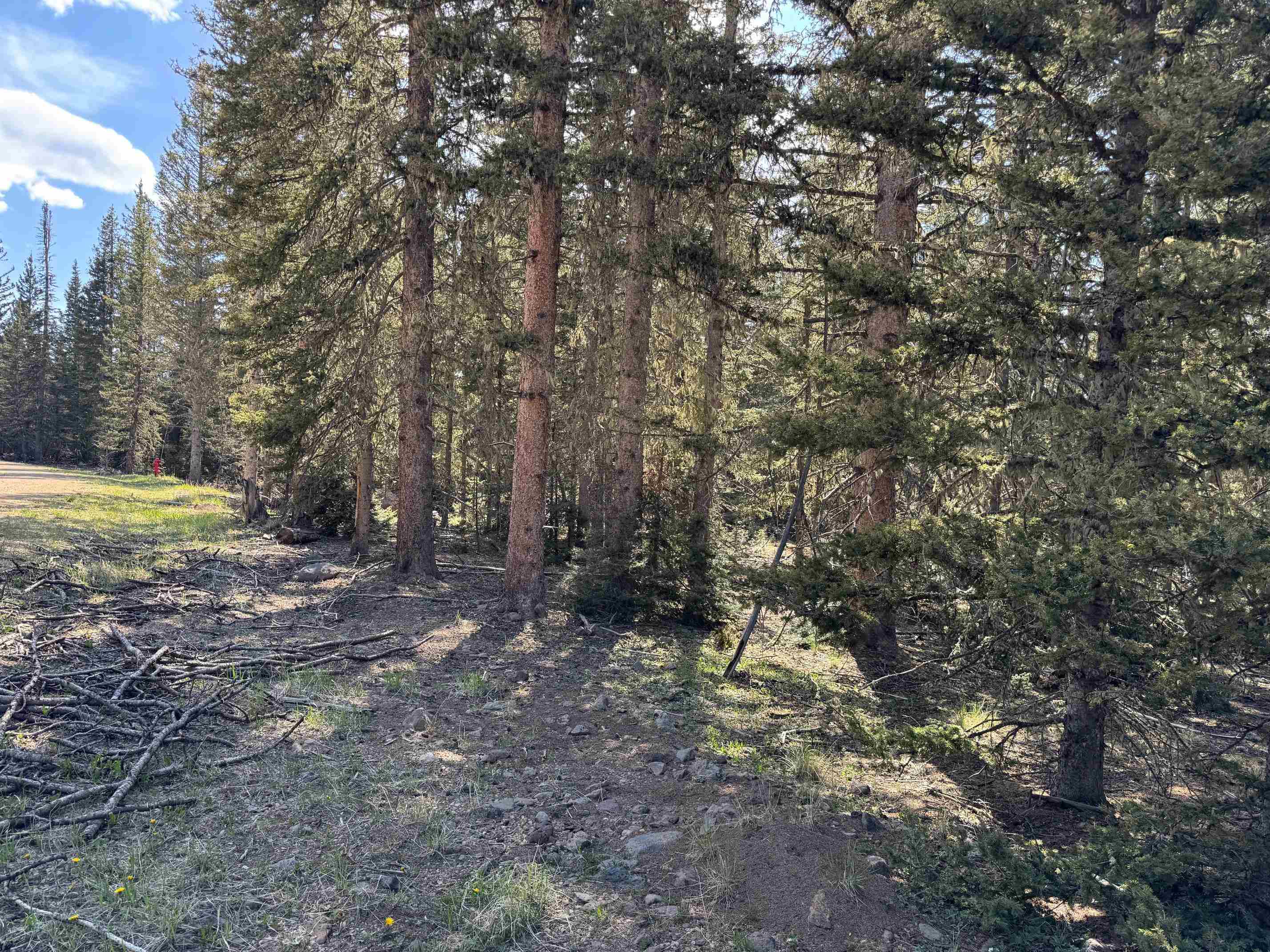 Lot 74 Happy Way, Angel Fire, New Mexico image 8