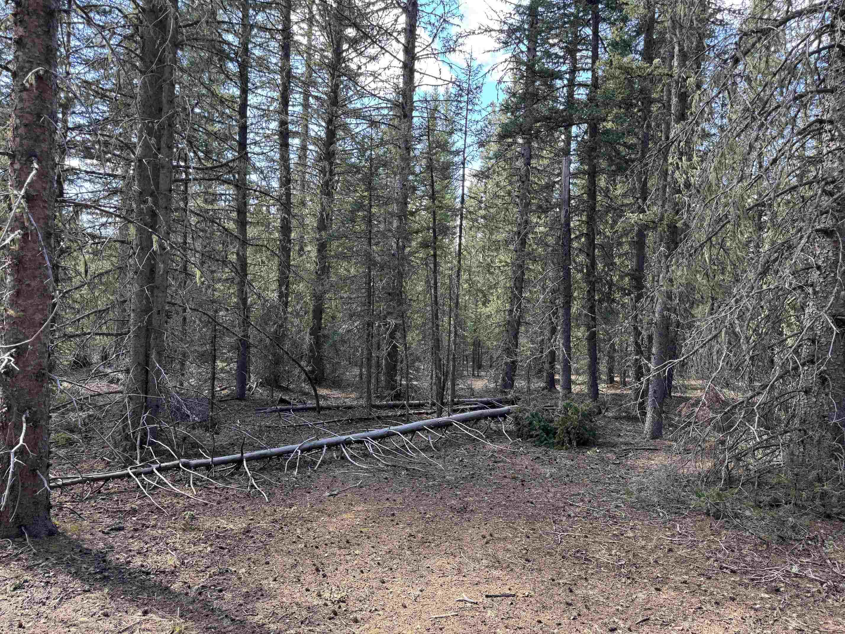 Lot 74 Happy Way, Angel Fire, New Mexico image 4