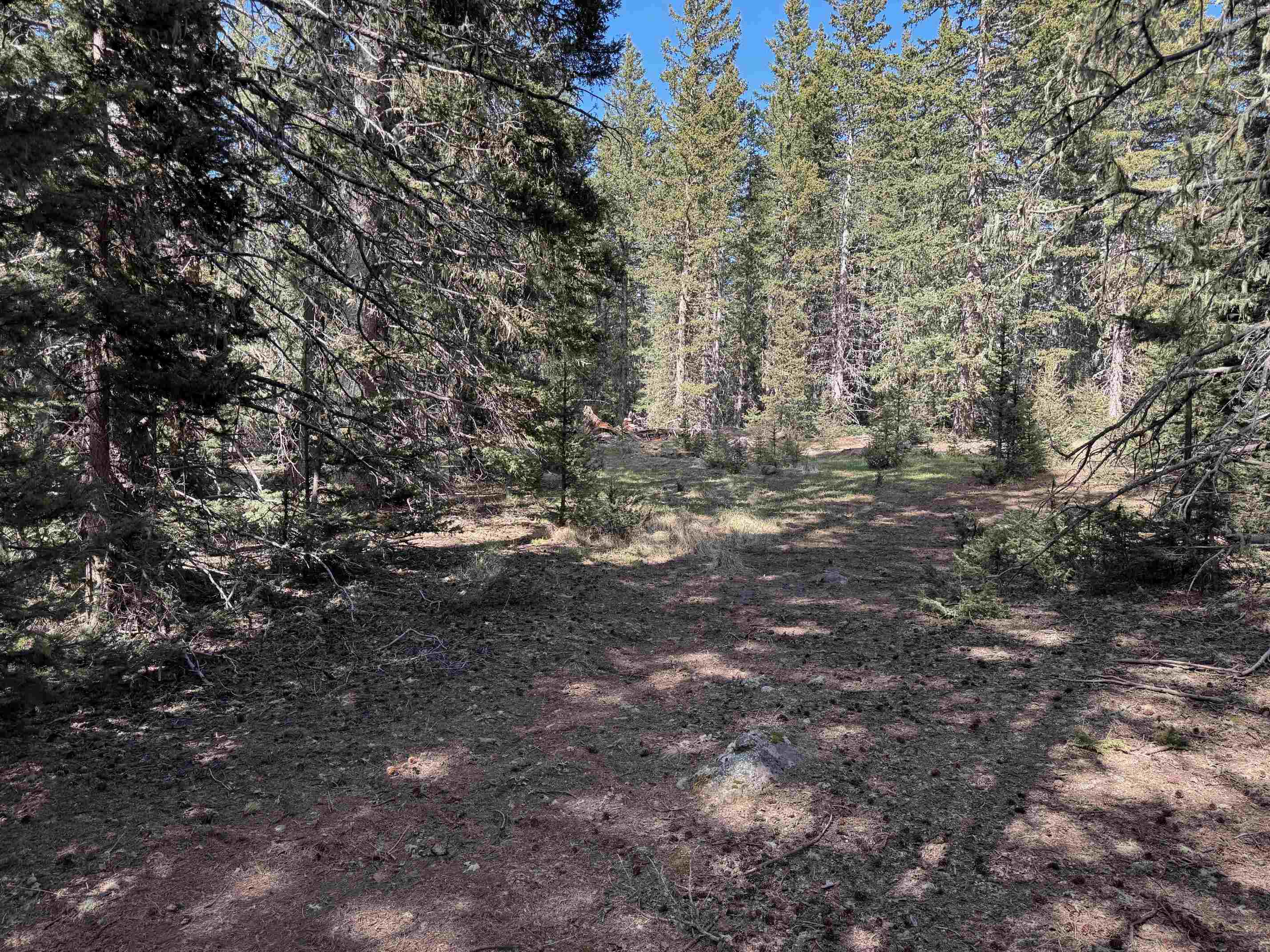 Lot 74 Happy Way, Angel Fire, New Mexico image 13