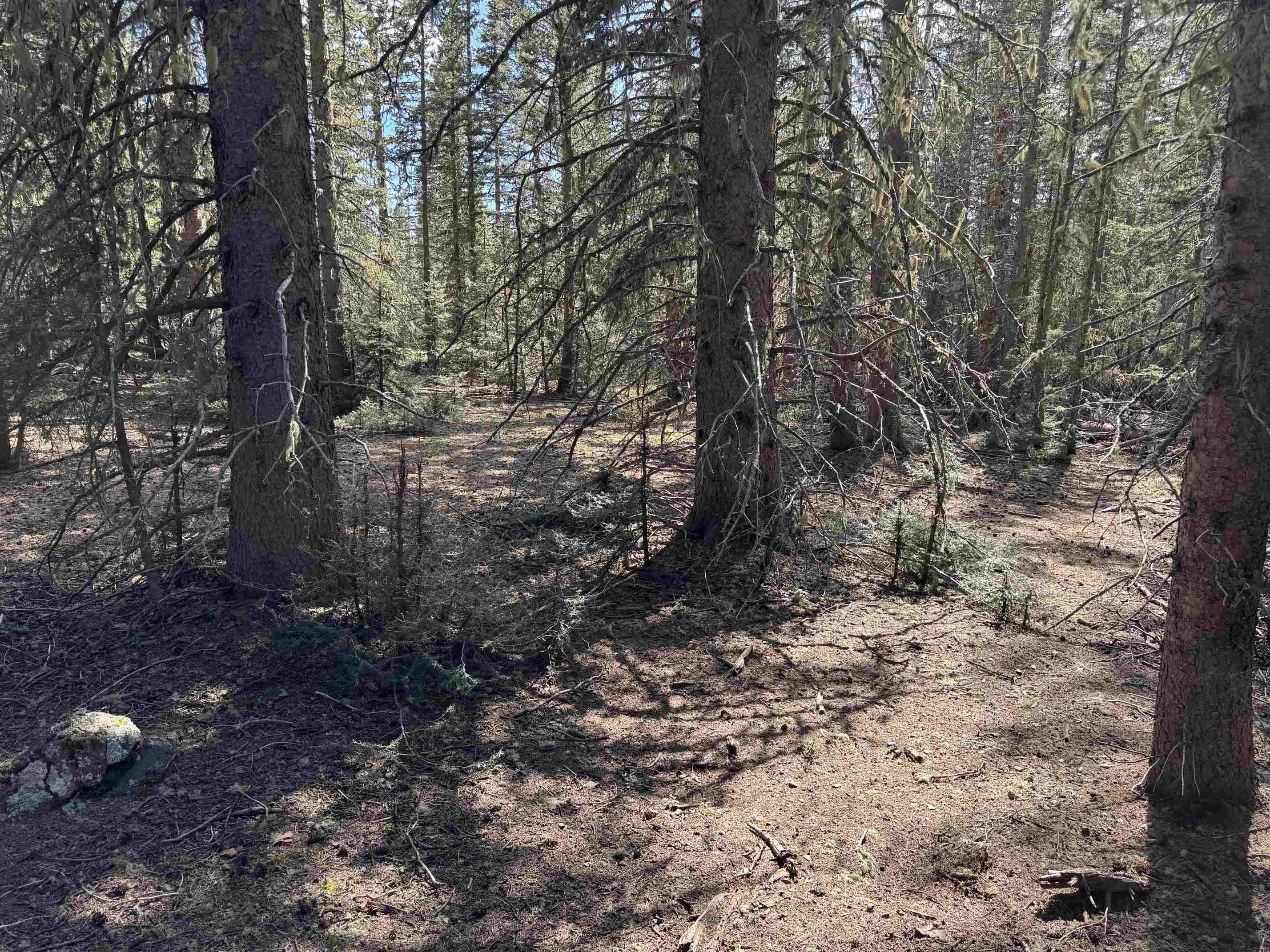 Lot 74 Happy Way, Angel Fire, New Mexico image 12