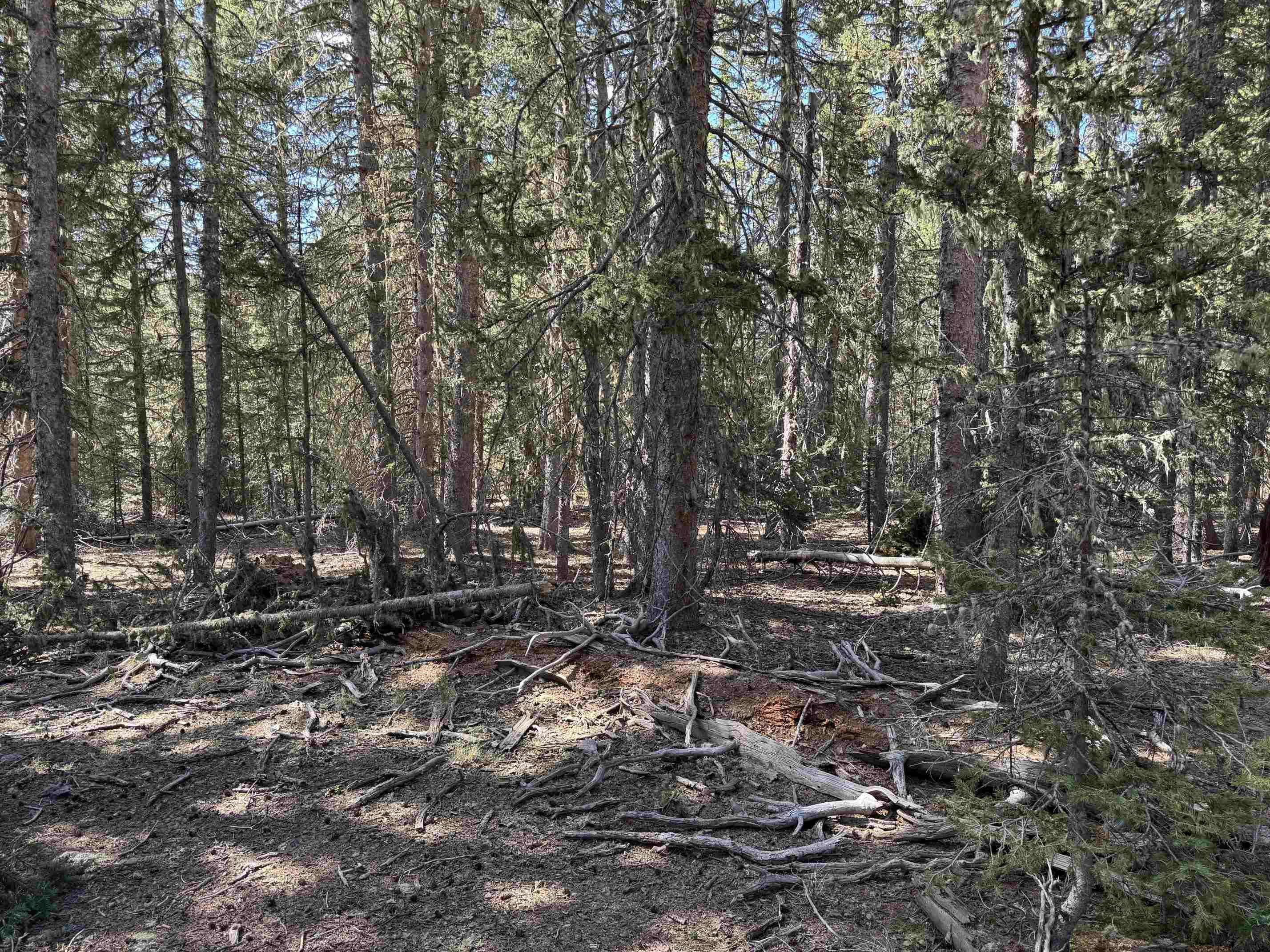 Lot 74 Happy Way, Angel Fire, New Mexico image 9