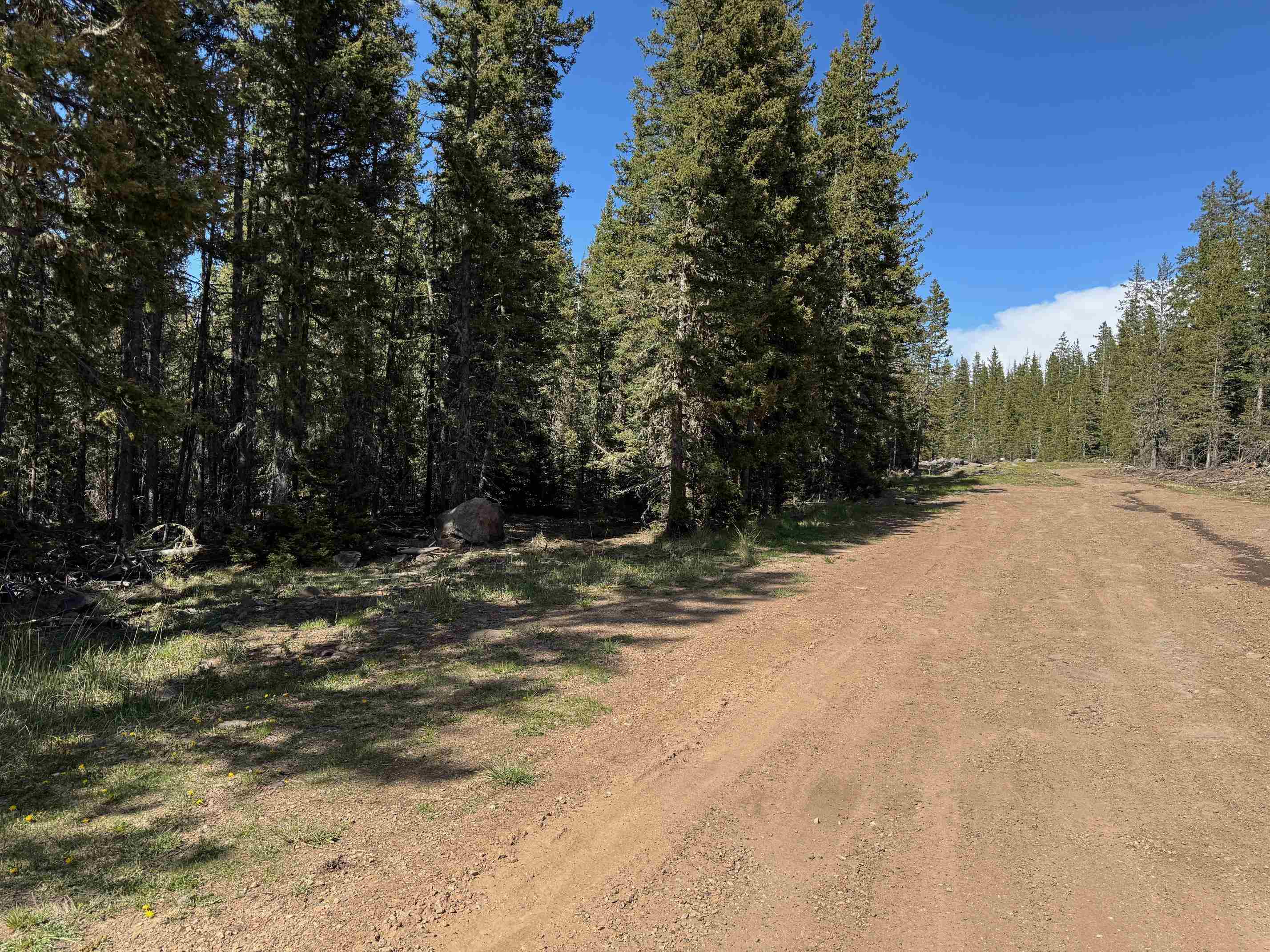 Lot 74 Happy Way, Angel Fire, New Mexico image 6