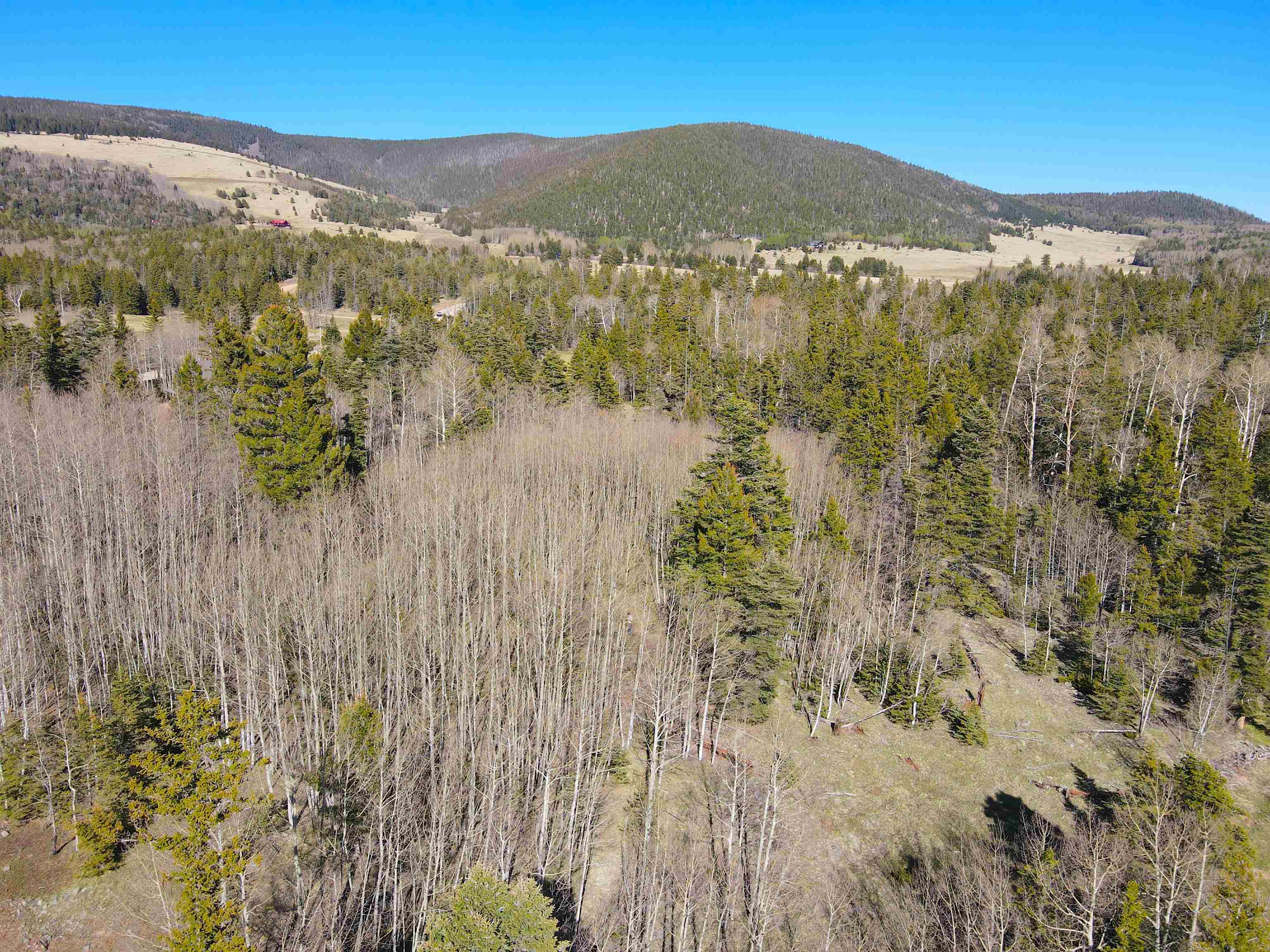 2 Acres Off Quail Ridge, Angel Fire, New Mexico image 10