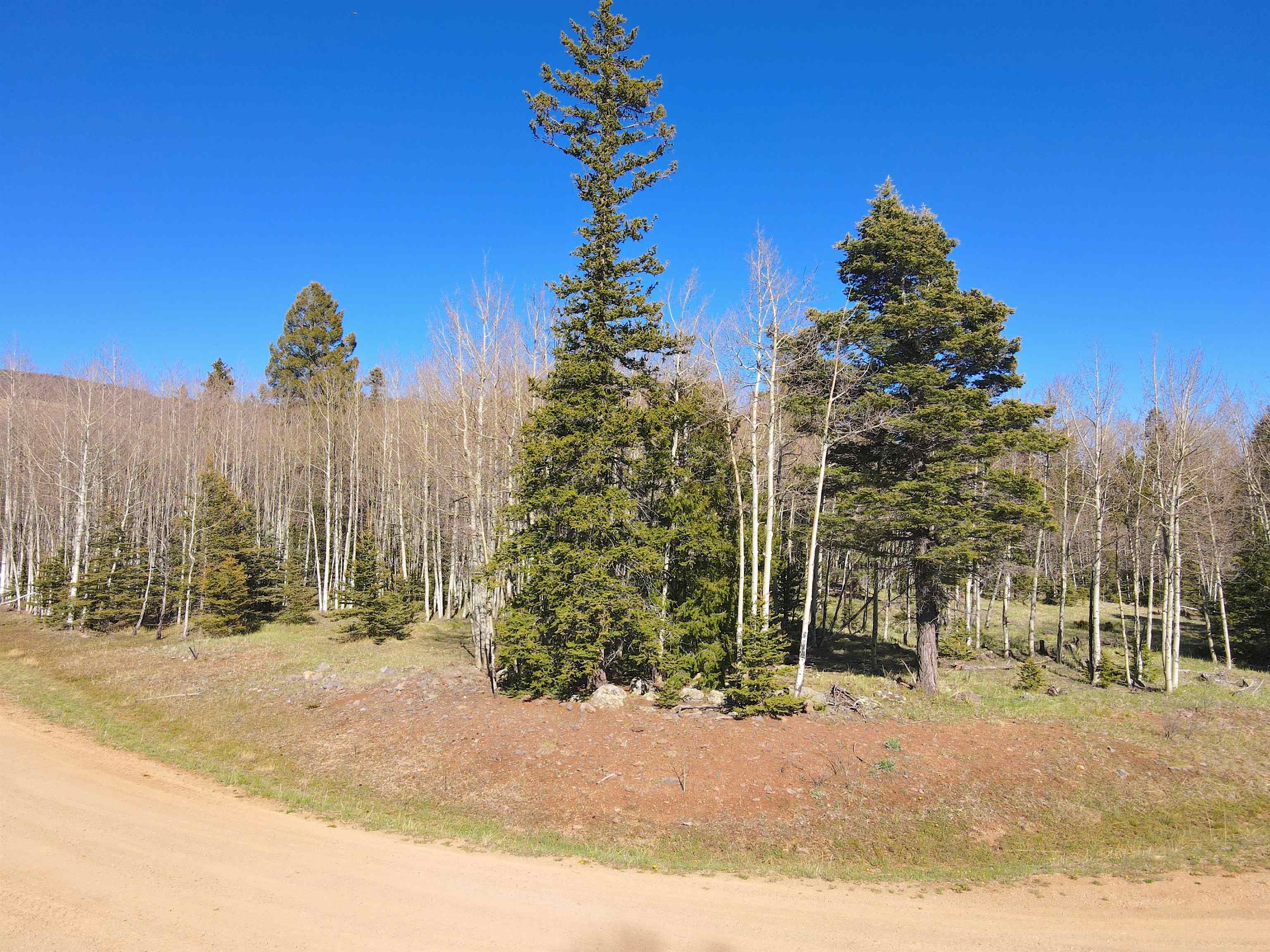 2 Acres Off Quail Ridge, Angel Fire, New Mexico image 14