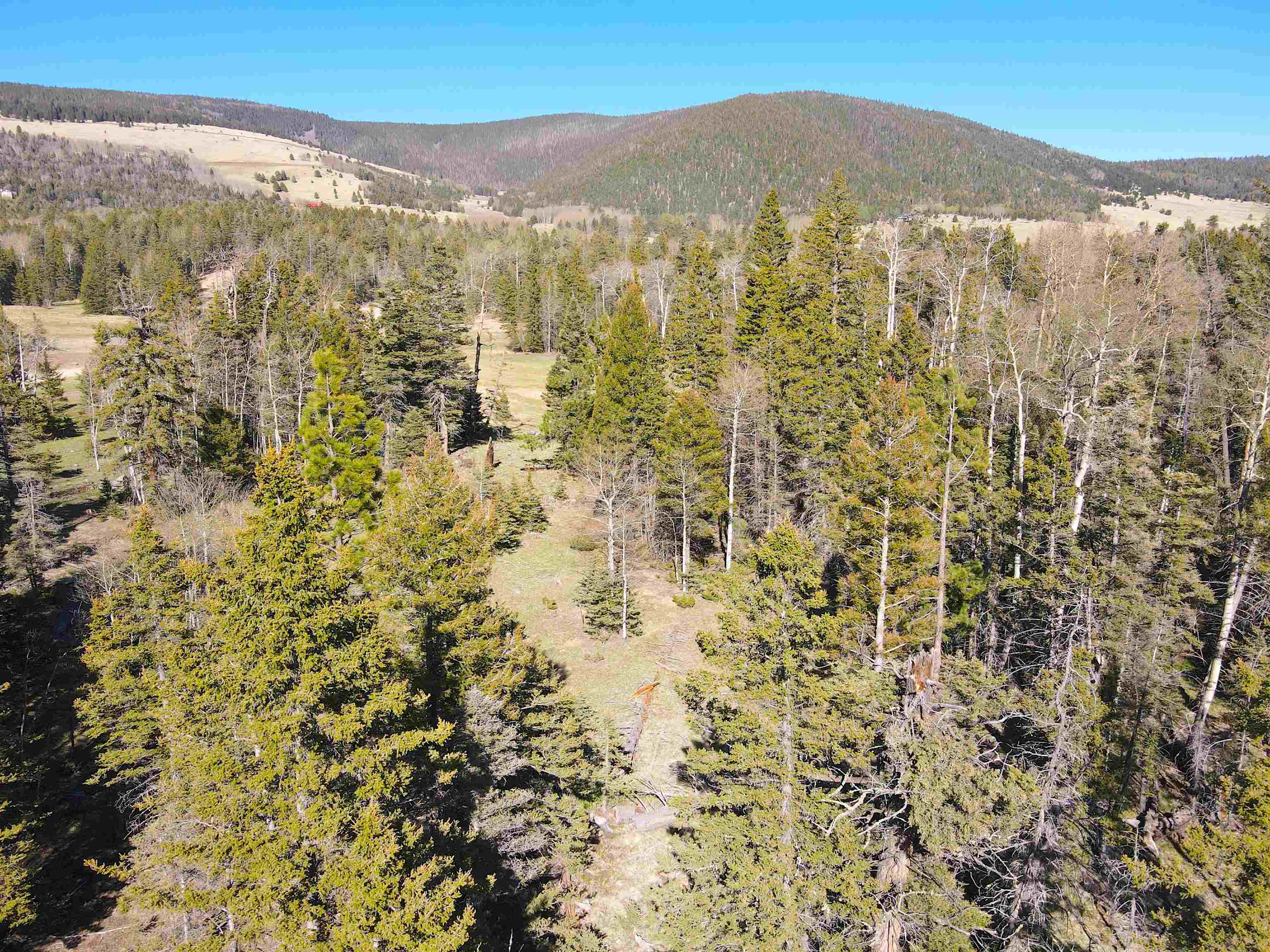 2 Acres Off Quail Ridge, Angel Fire, New Mexico image 5