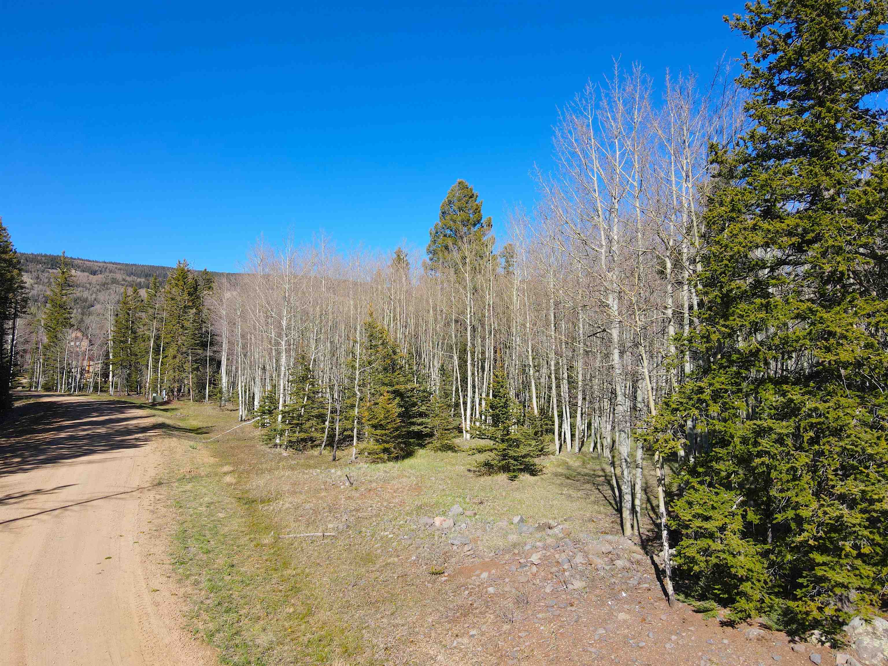 2 Acres Off Quail Ridge, Angel Fire, New Mexico image 13