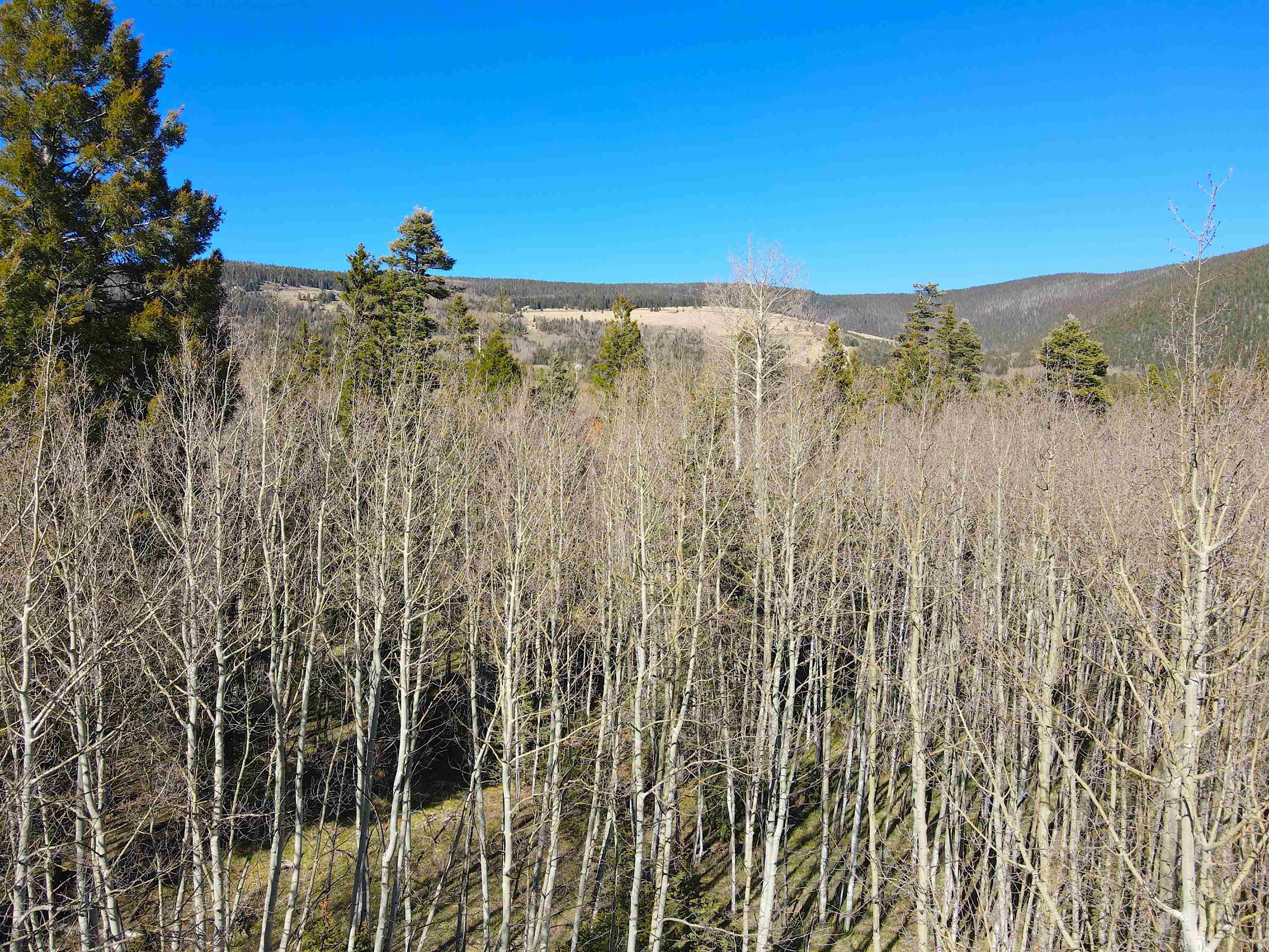 2 Acres Off Quail Ridge, Angel Fire, New Mexico image 6