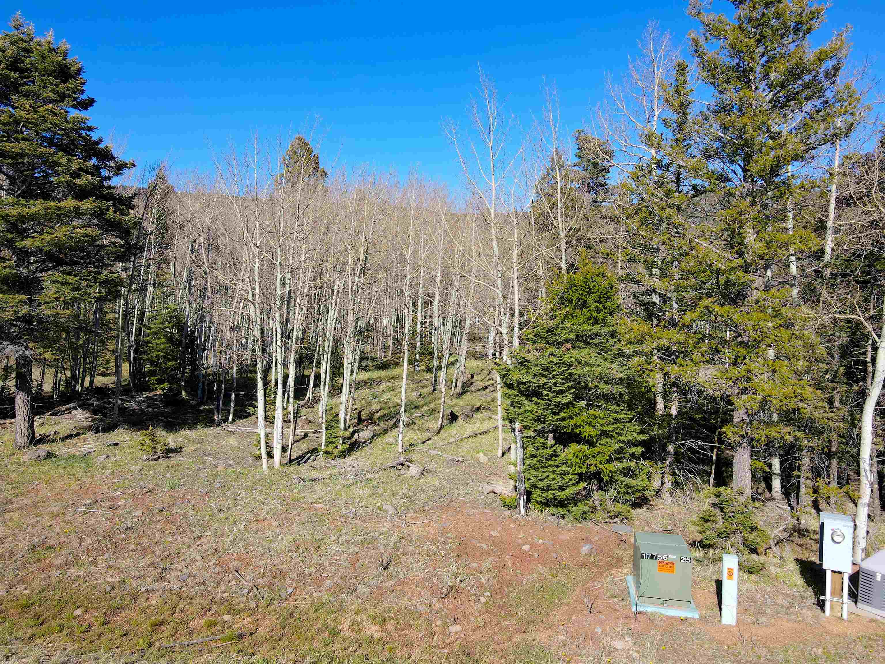 2 Acres Off Quail Ridge, Angel Fire, New Mexico image 12