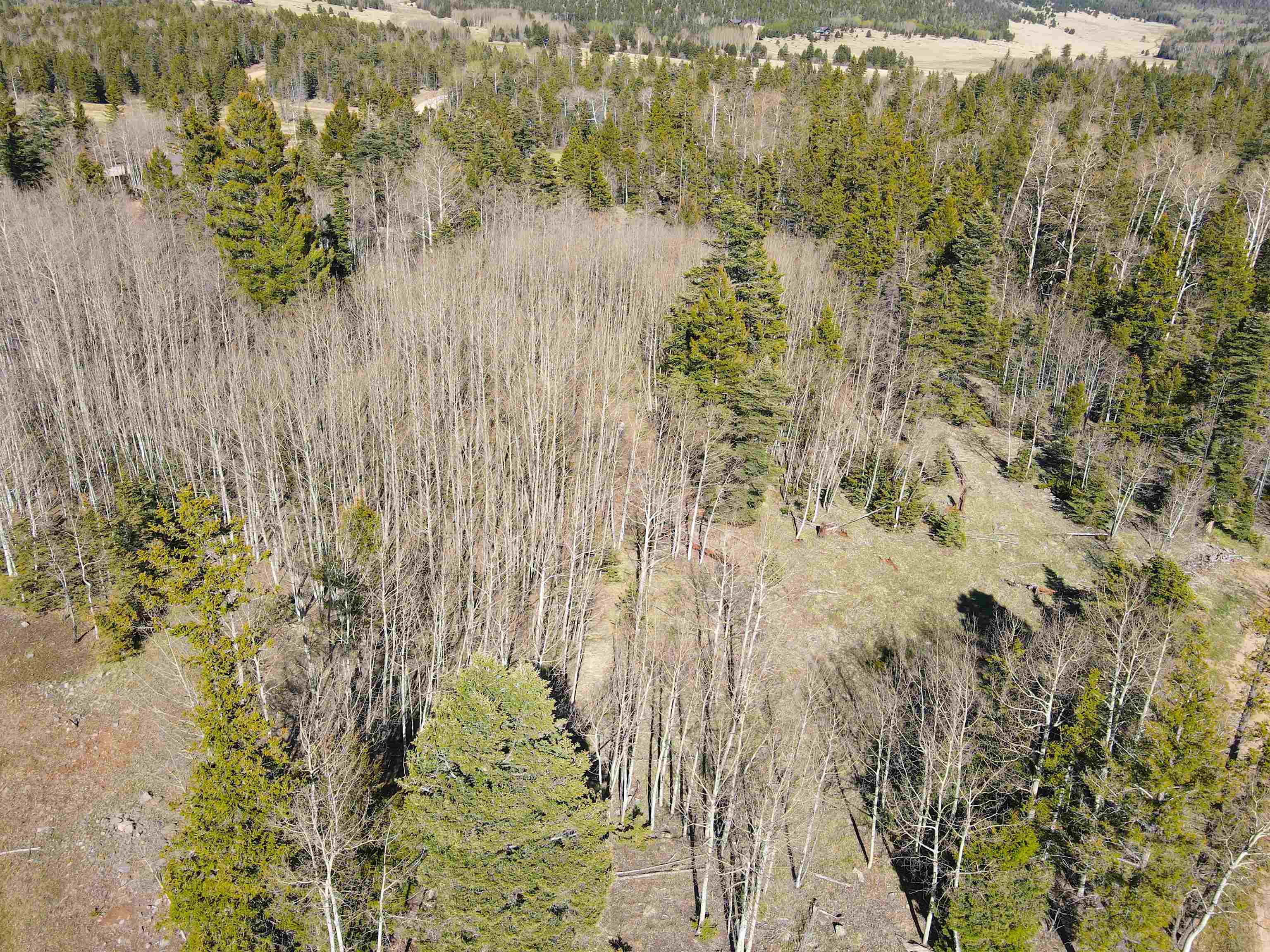 2 Acres Off Quail Ridge, Angel Fire, New Mexico image 9