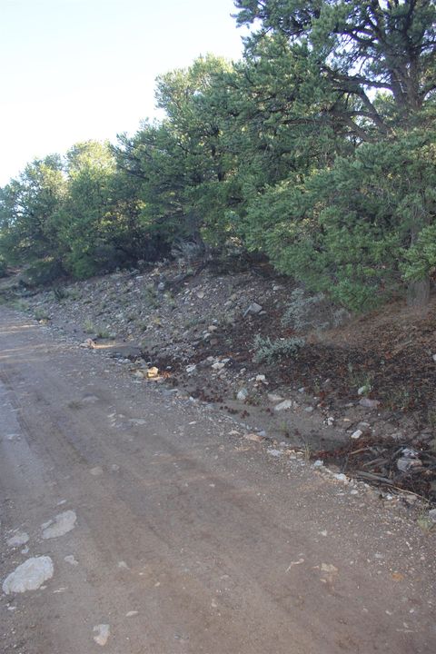 Vacant Land For Sale - TBD Lot 4 Llano Rd<br/> Questa, NM 87556