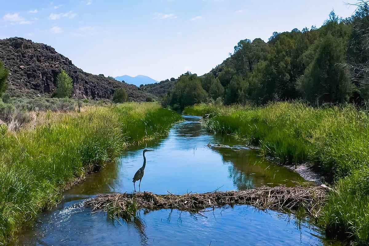 Riverbend Road, Ranchos de Taos, Florida image 9