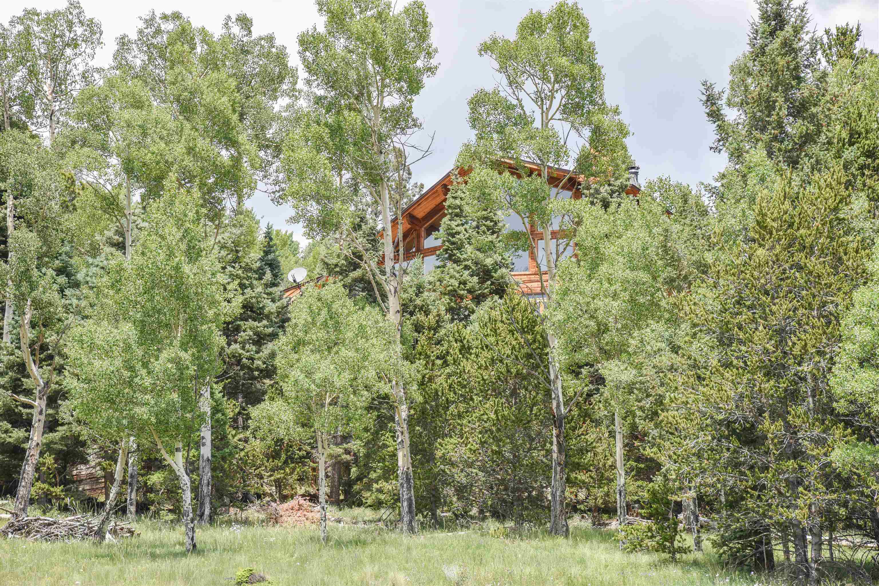 41 Bobcat Pass Rd, Red River, New Mexico image 32