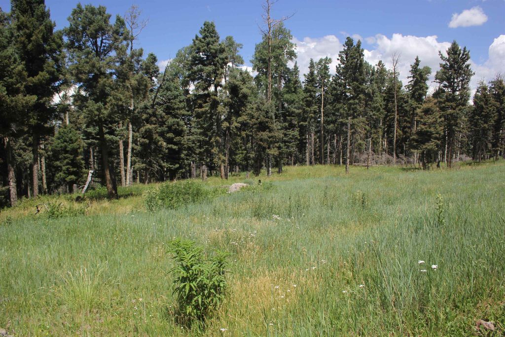 Photo of lot 83 Elk Horn, Black Lake, NM 87710 (MLS # 110601)