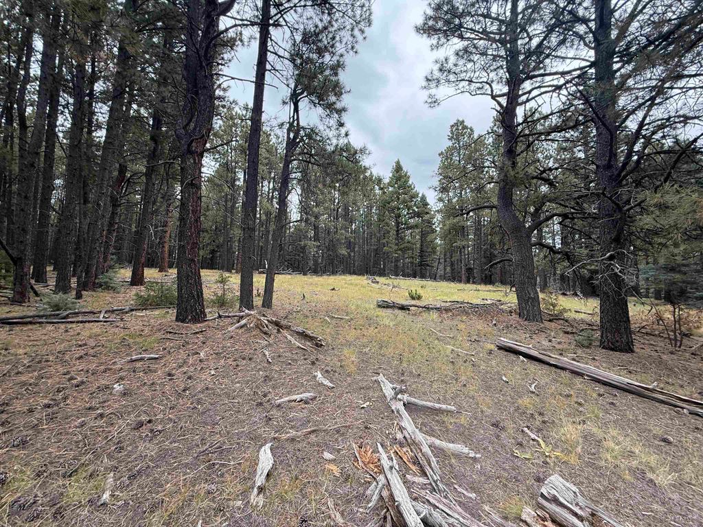 Photo of Lot 106 San Juan Dr, Angel Fire, NM 87710 (MLS # 114080)