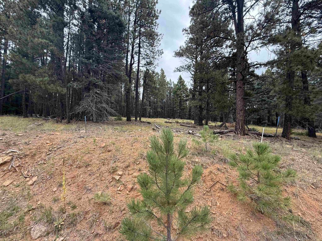 Photo of Lot 106 San Juan Dr, Angel Fire, NM 87710 (MLS # 114080)