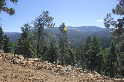 Vacant Land For Sale - LOT 208 Taos Drive<br/> Colfax County, Angel Fire, NM 87710