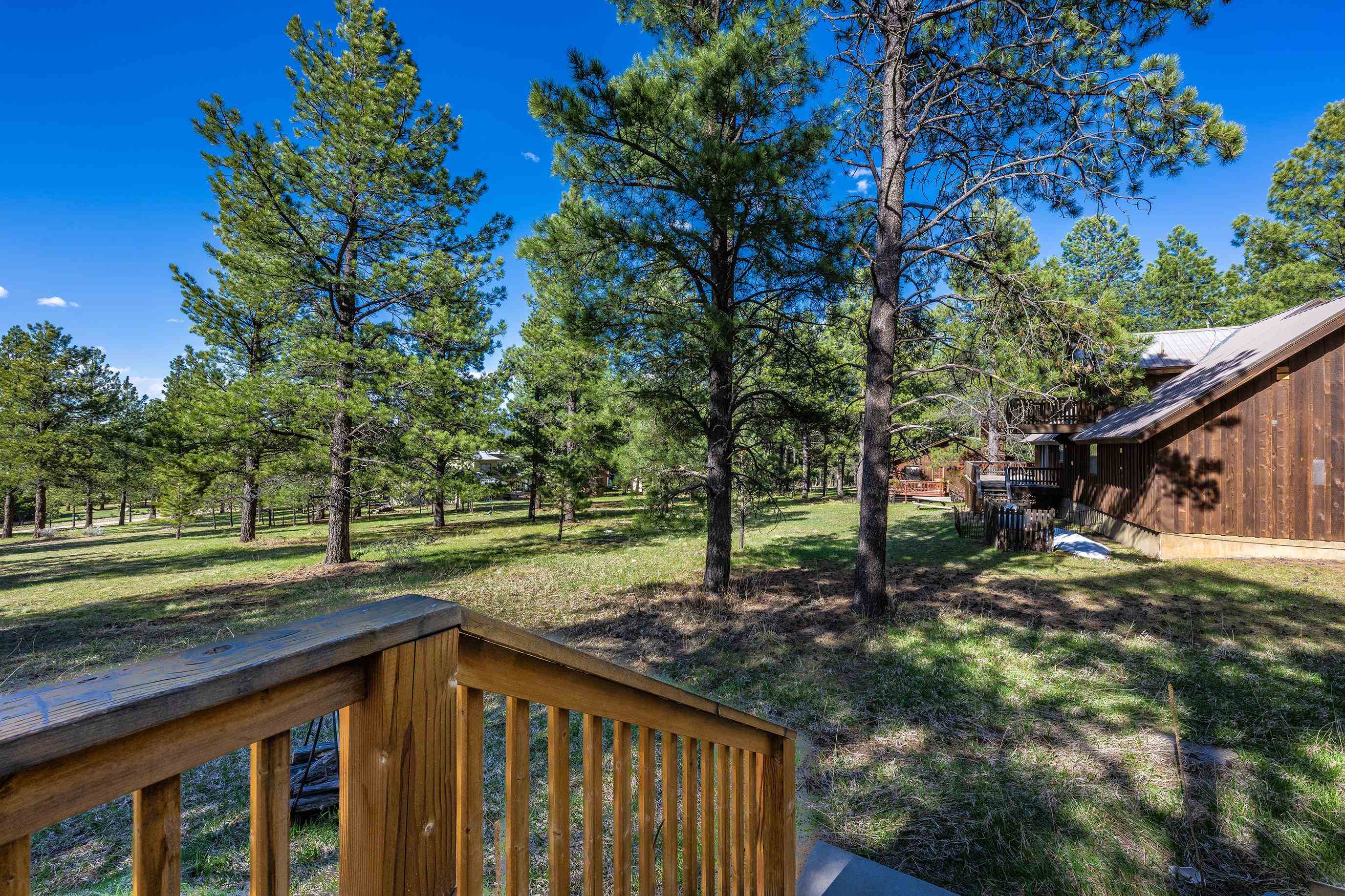 44 Valle Grande Trail N Trl, Angel Fire, New Mexico image 21