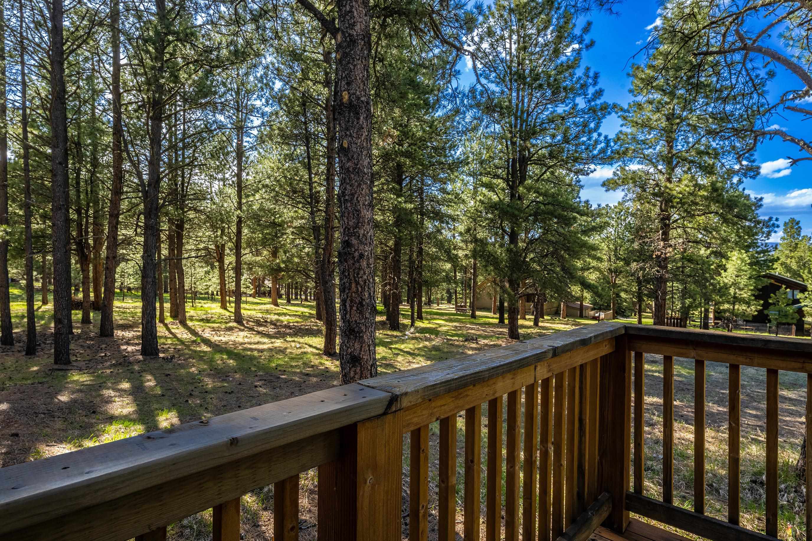 44 Valle Grande Trail N Trl, Angel Fire, New Mexico image 17