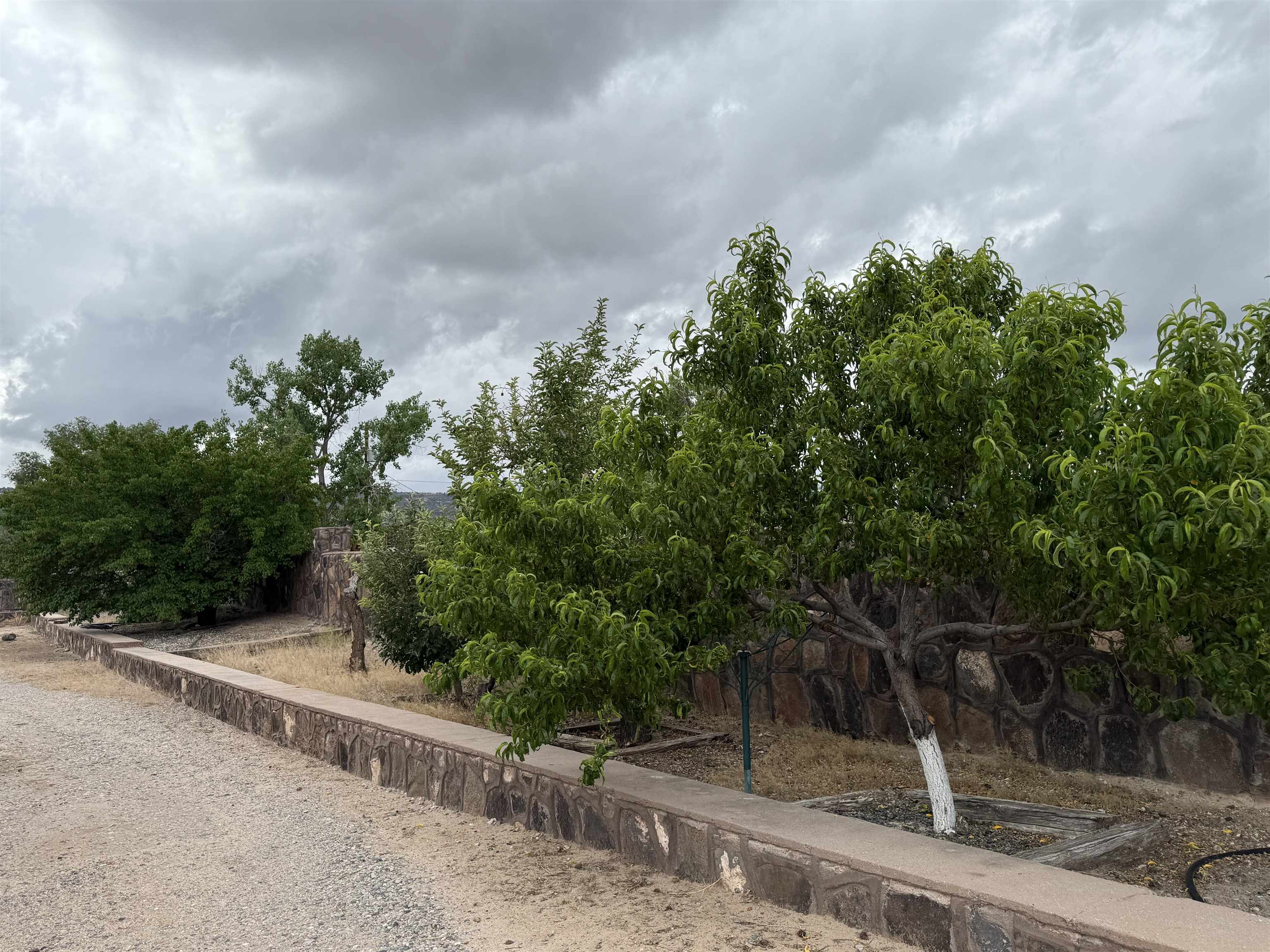 766 County Rd 41, Velarde, New Mexico image 14
