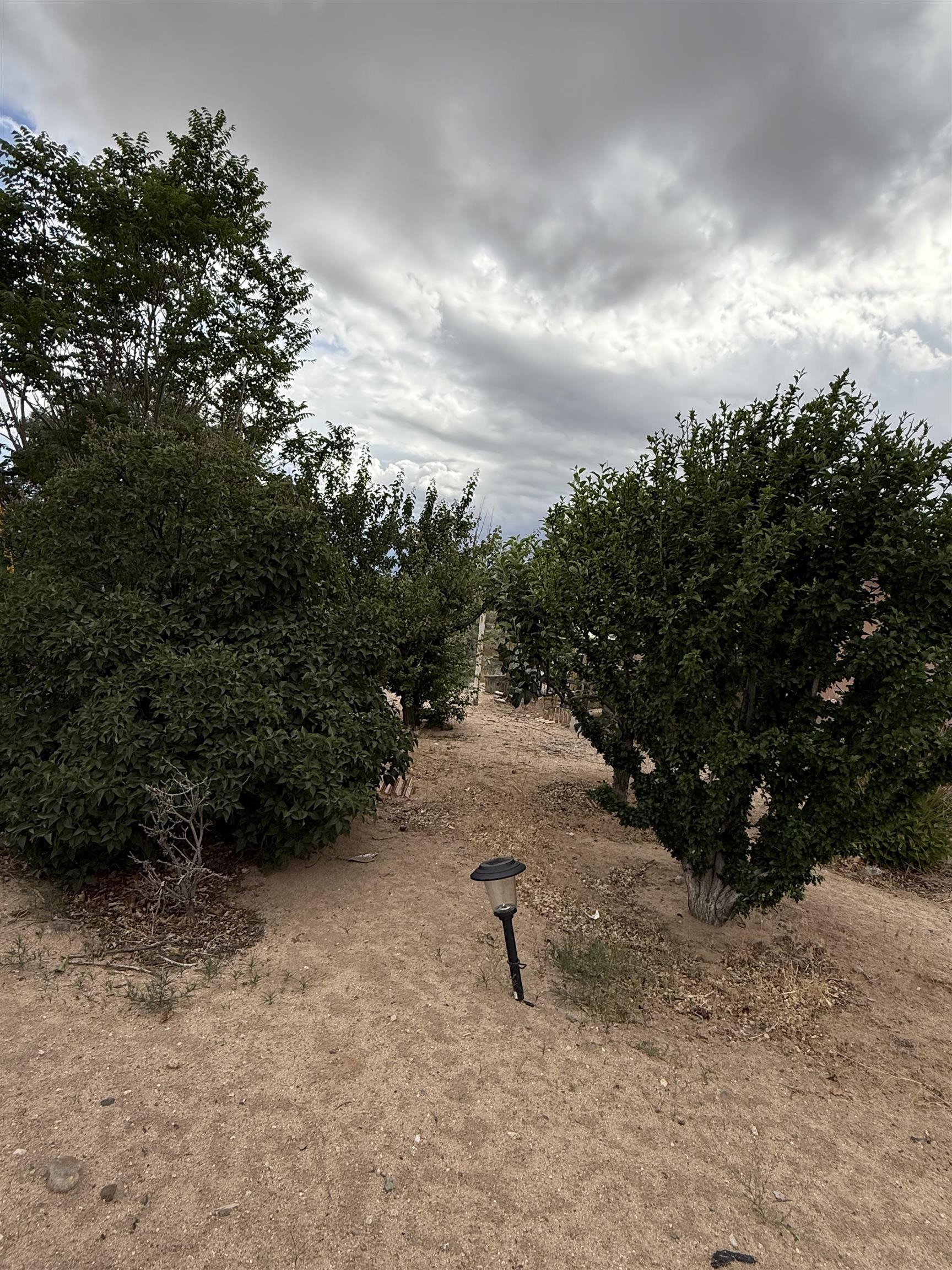 766 County Rd 41, Velarde, New Mexico image 15