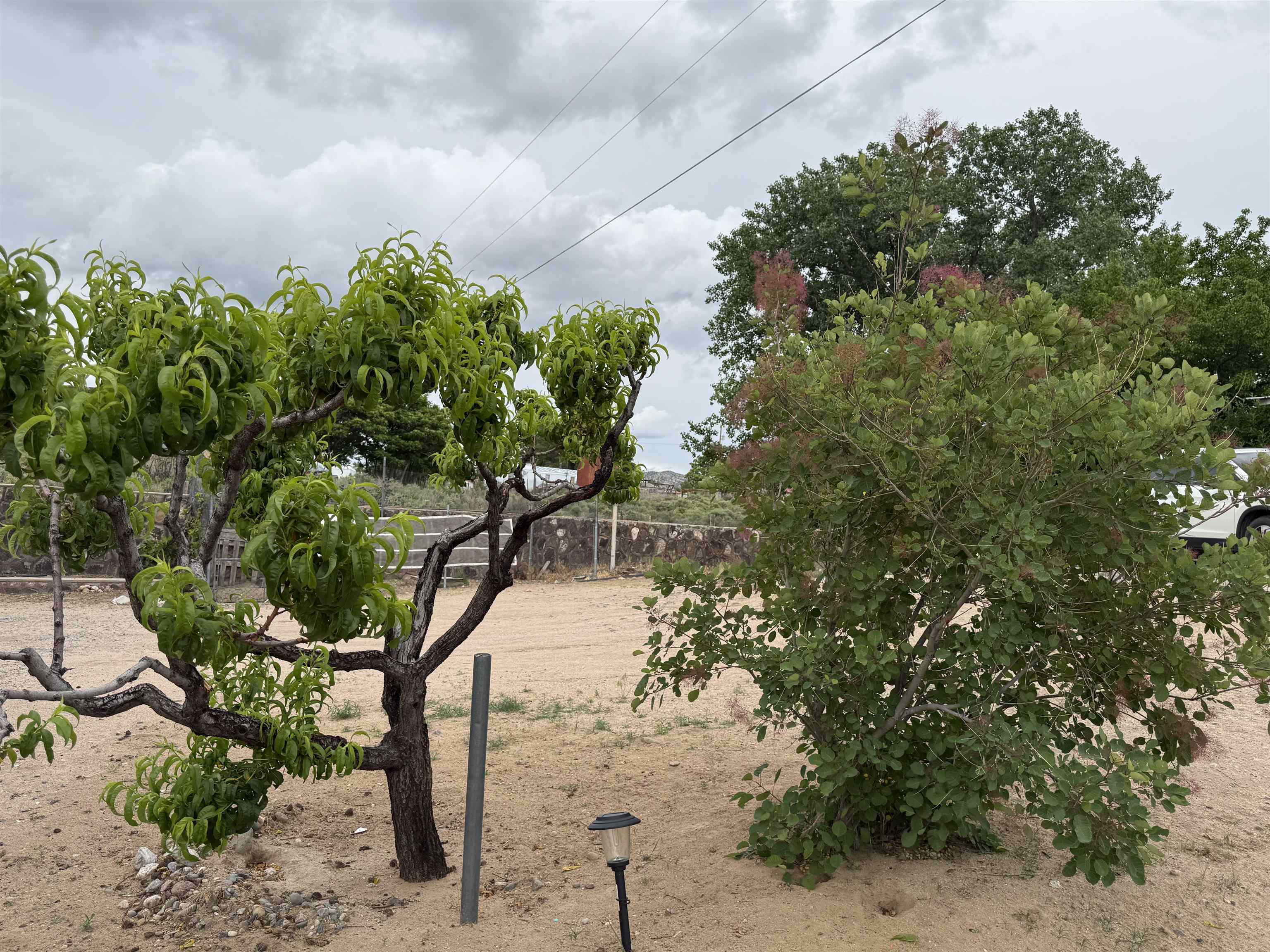 766 County Rd 41, Velarde, New Mexico image 16