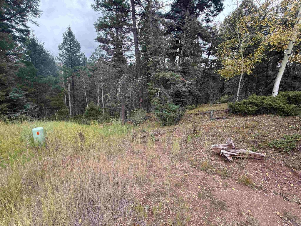 Photo of Lot 256 Back Basin Rd, Angel Fire, NM 87710 (MLS # 114079)