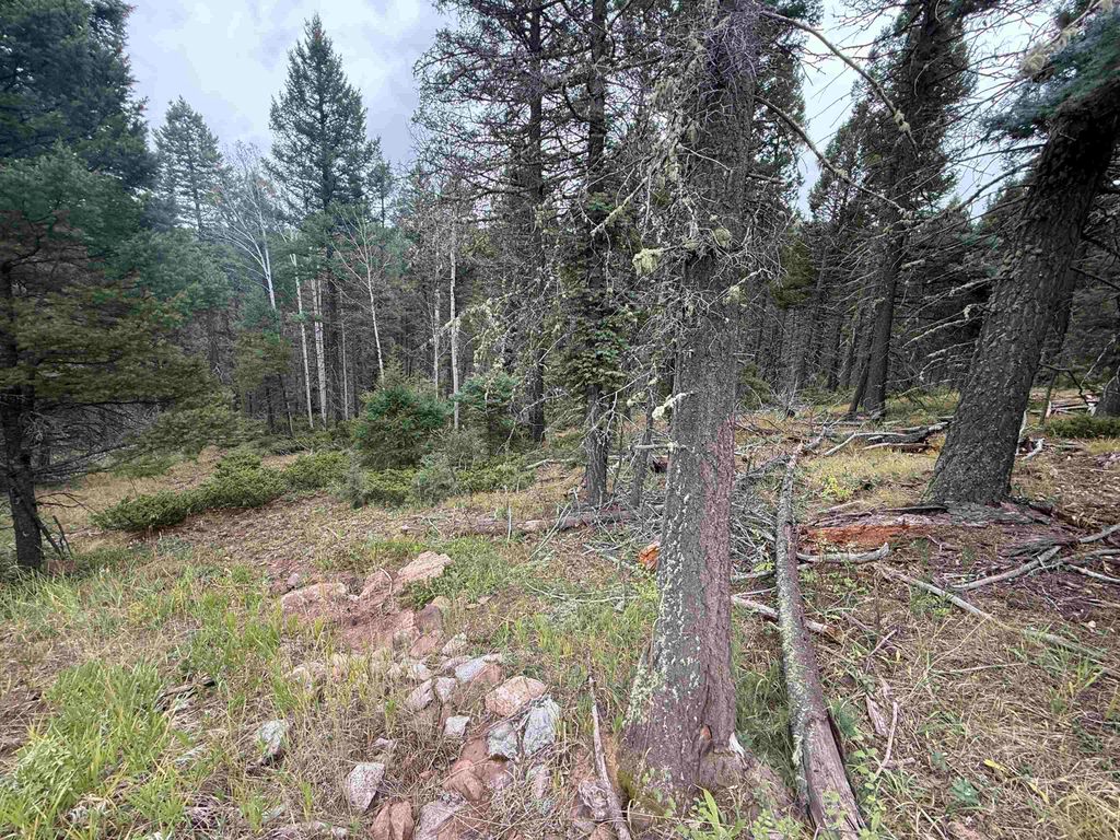 Photo of Lot 256 Back Basin Rd, Angel Fire, NM 87710 (MLS # 114079)