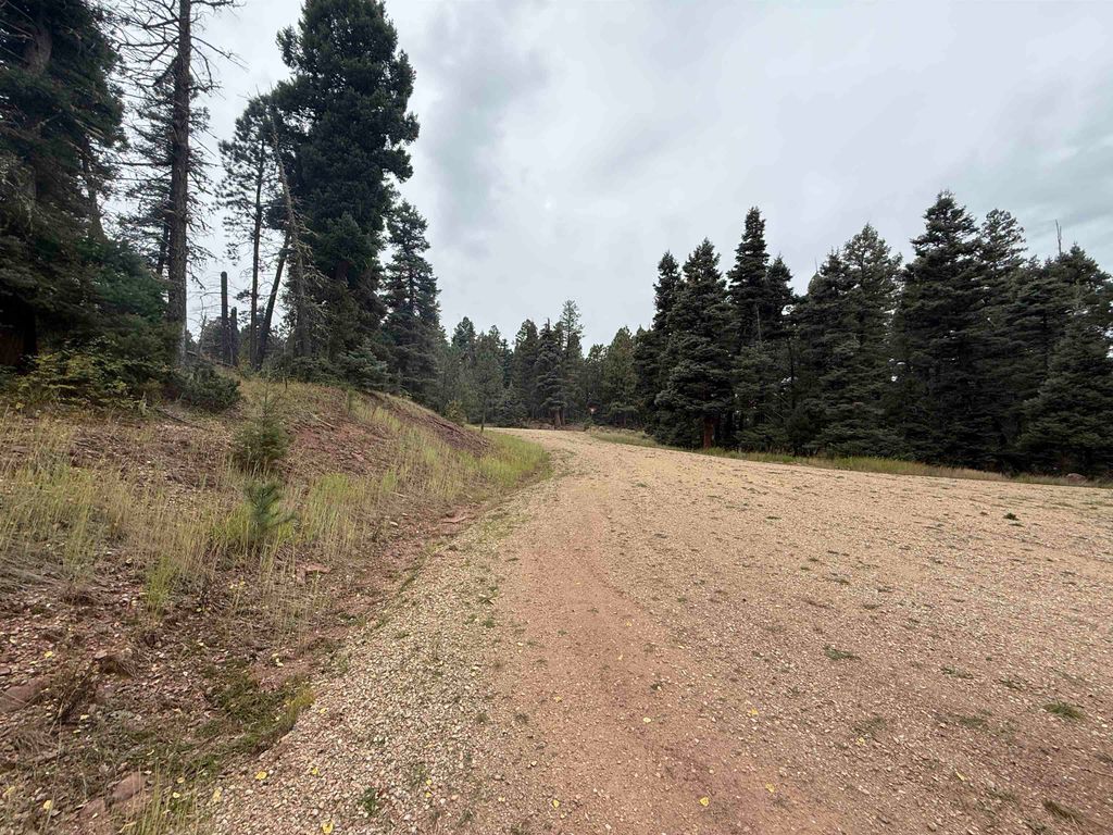 Photo of Lot 256 Back Basin Rd, Angel Fire, NM 87710 (MLS # 114079)