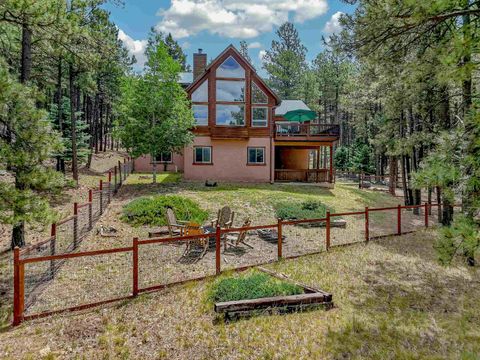 Homes For Sale - 15 Black Lake Terrace<br/> Colfax County, Angel Fire, NM 87710
