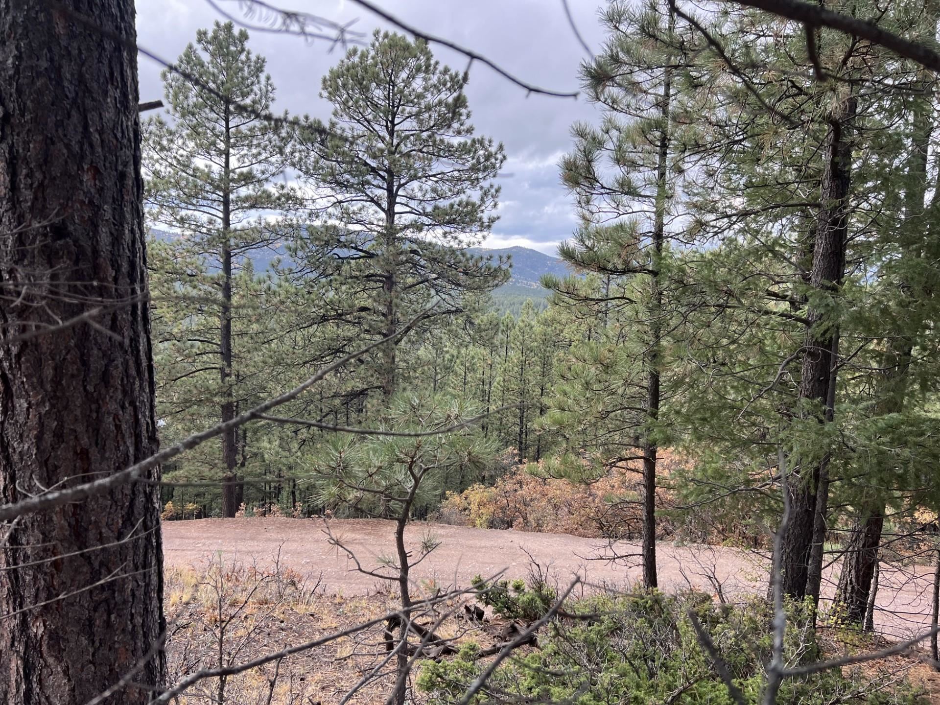 Lot 173 Vail Overlook, Angel Fire, New Mexico image 3