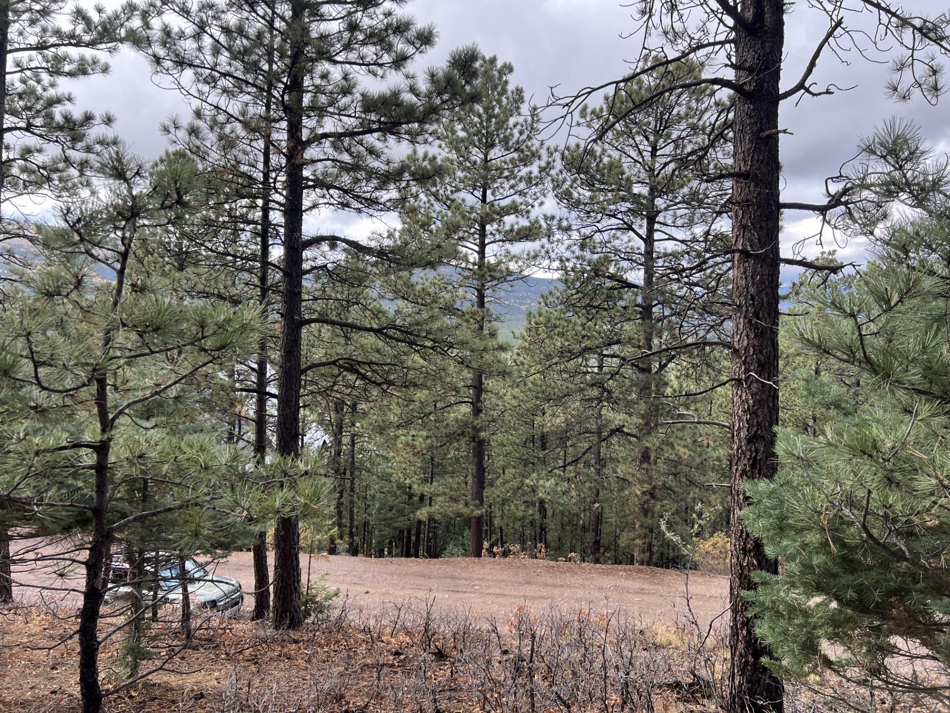 Lot 173 Vail Overlook, Angel Fire, New Mexico image 1