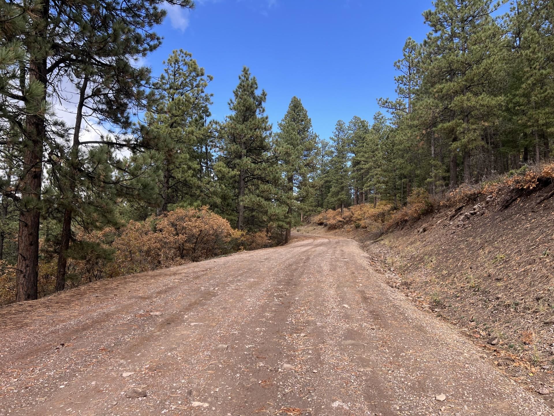 Lot 173 Vail Overlook, Angel Fire, New Mexico image 8