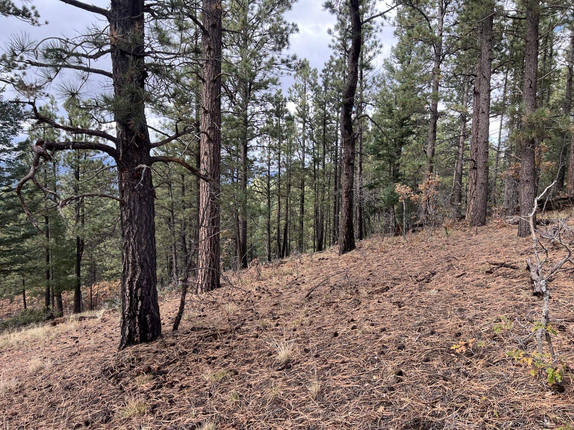 Lot 173 Vail Overlook, Angel Fire, New Mexico image 5