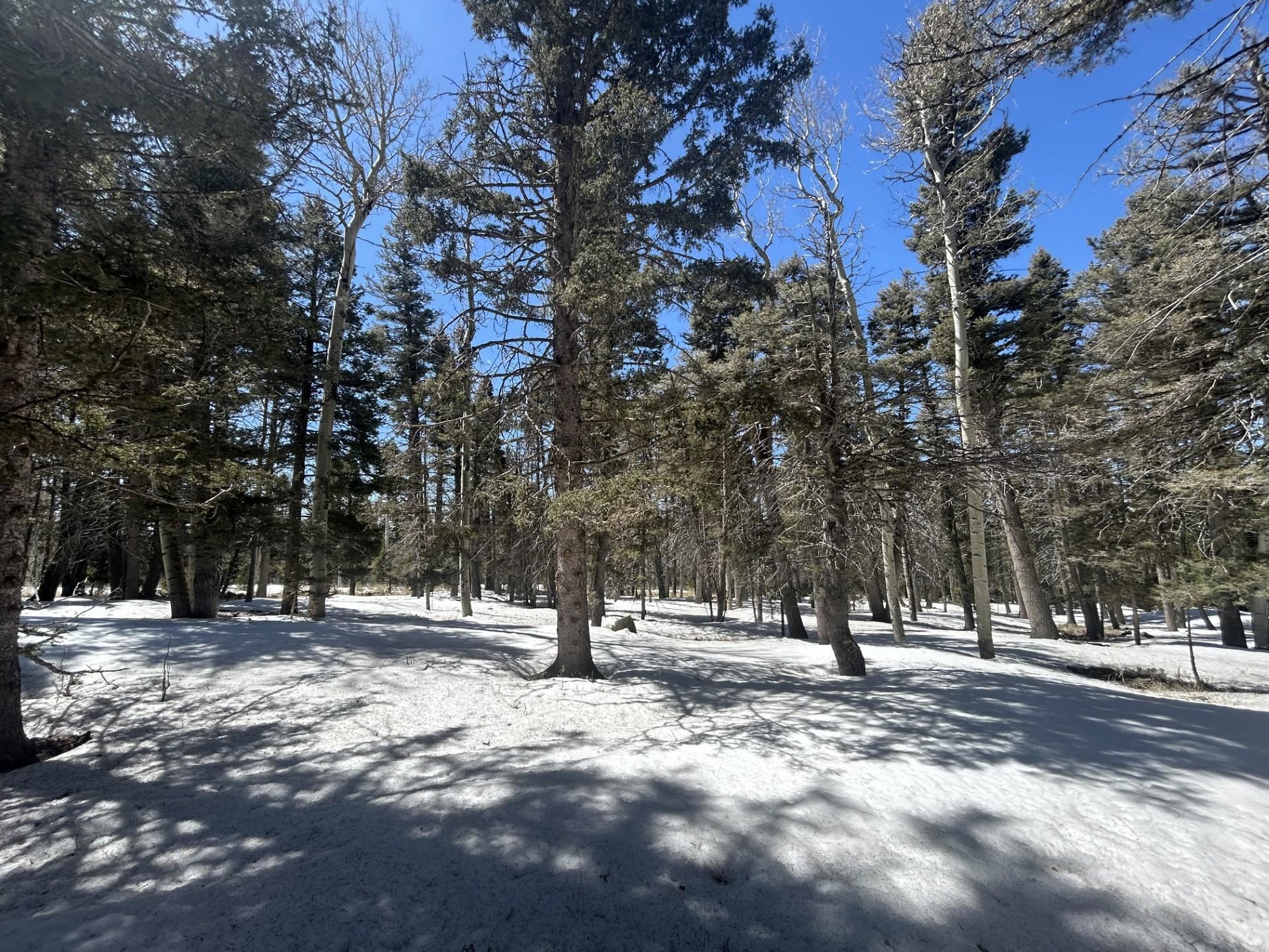 Lot 1320 Pleasant Valley Overlook, Angel Fire, New Mexico image 5