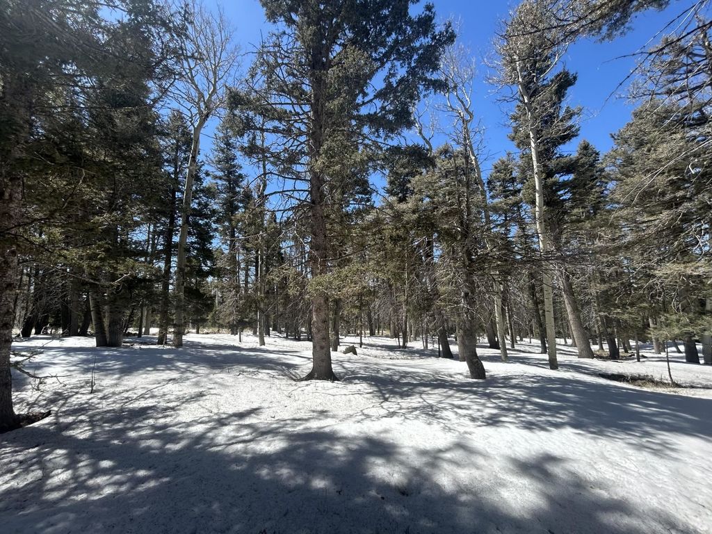 Photo of Lot 1320 Pleasant Valley Overlook, Angel Fire, NM 87710 (MLS # 111563)