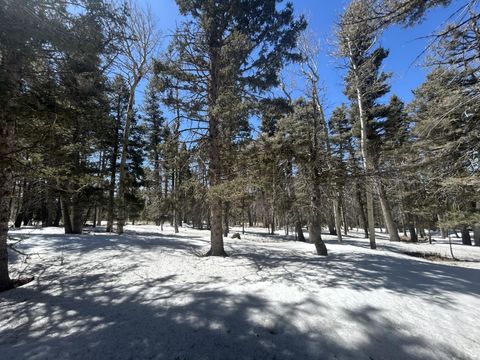 Photo of Lot 1320 Pleasant Valley Overlook, Angel Fire, NM 87710 (MLS # 111563)