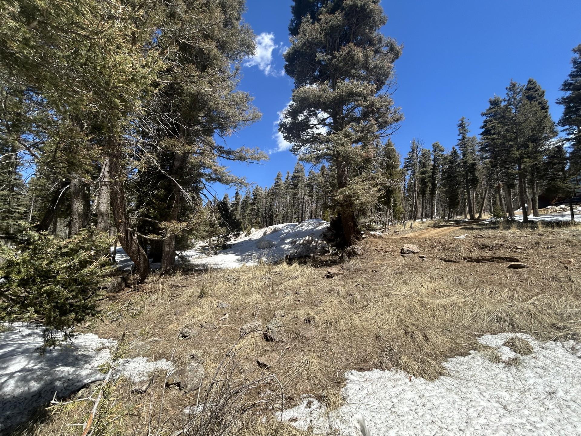 Lot 1320 Pleasant Valley Overlook, Angel Fire, New Mexico image 7