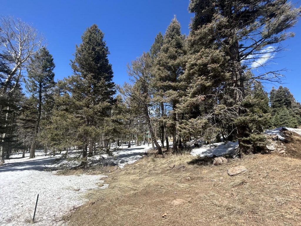 Photo of Lot 1320 Pleasant Valley Overlook, Angel Fire, NM 87710 (MLS # 111563)