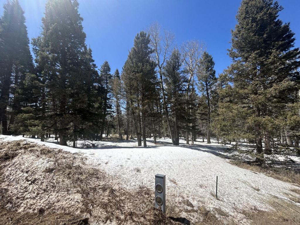 Photo of Lot 1320 Pleasant Valley Overlook, Angel Fire, NM 87710 (MLS # 111563)