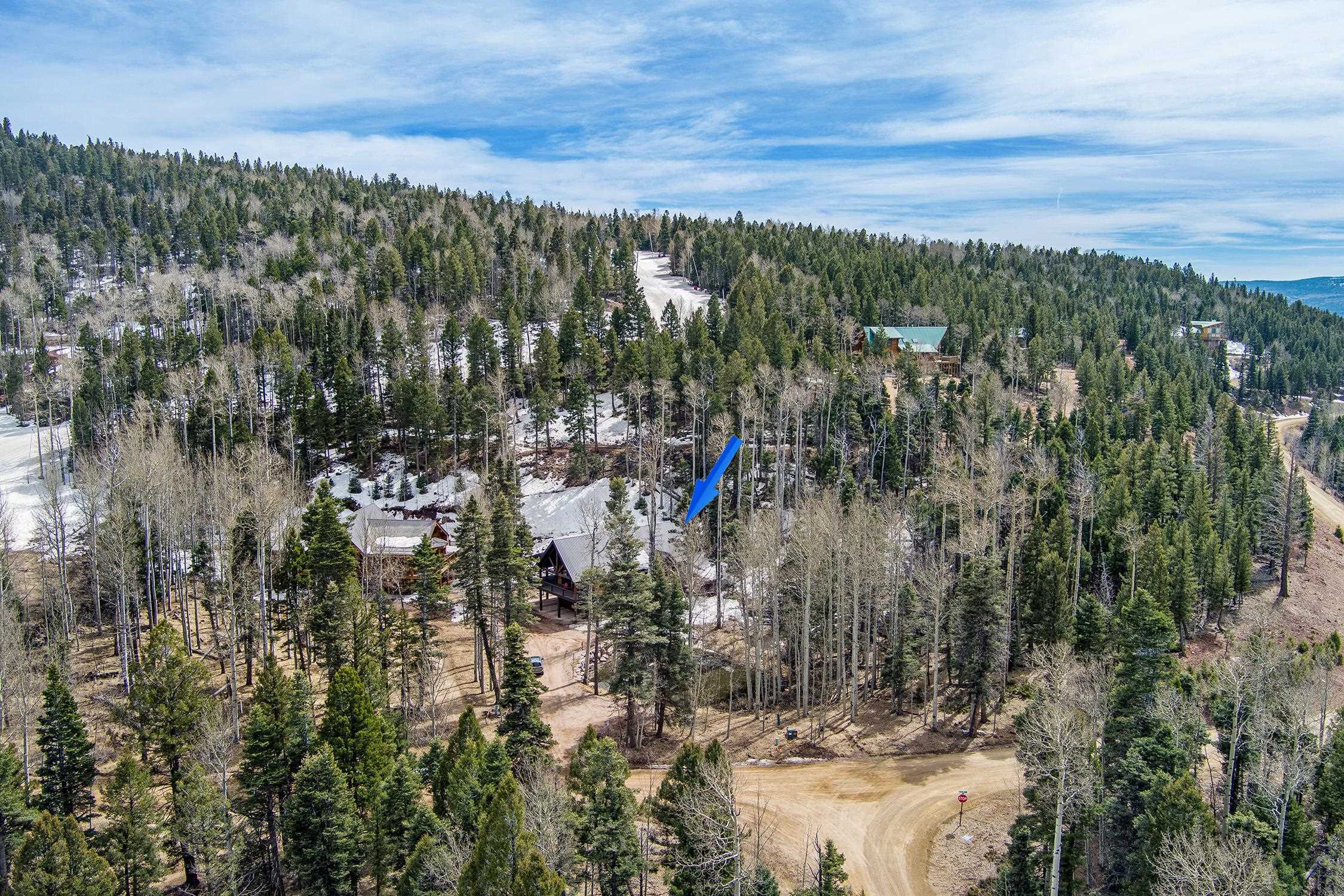 146 Panorama Way, Angel Fire, New Mexico image 38