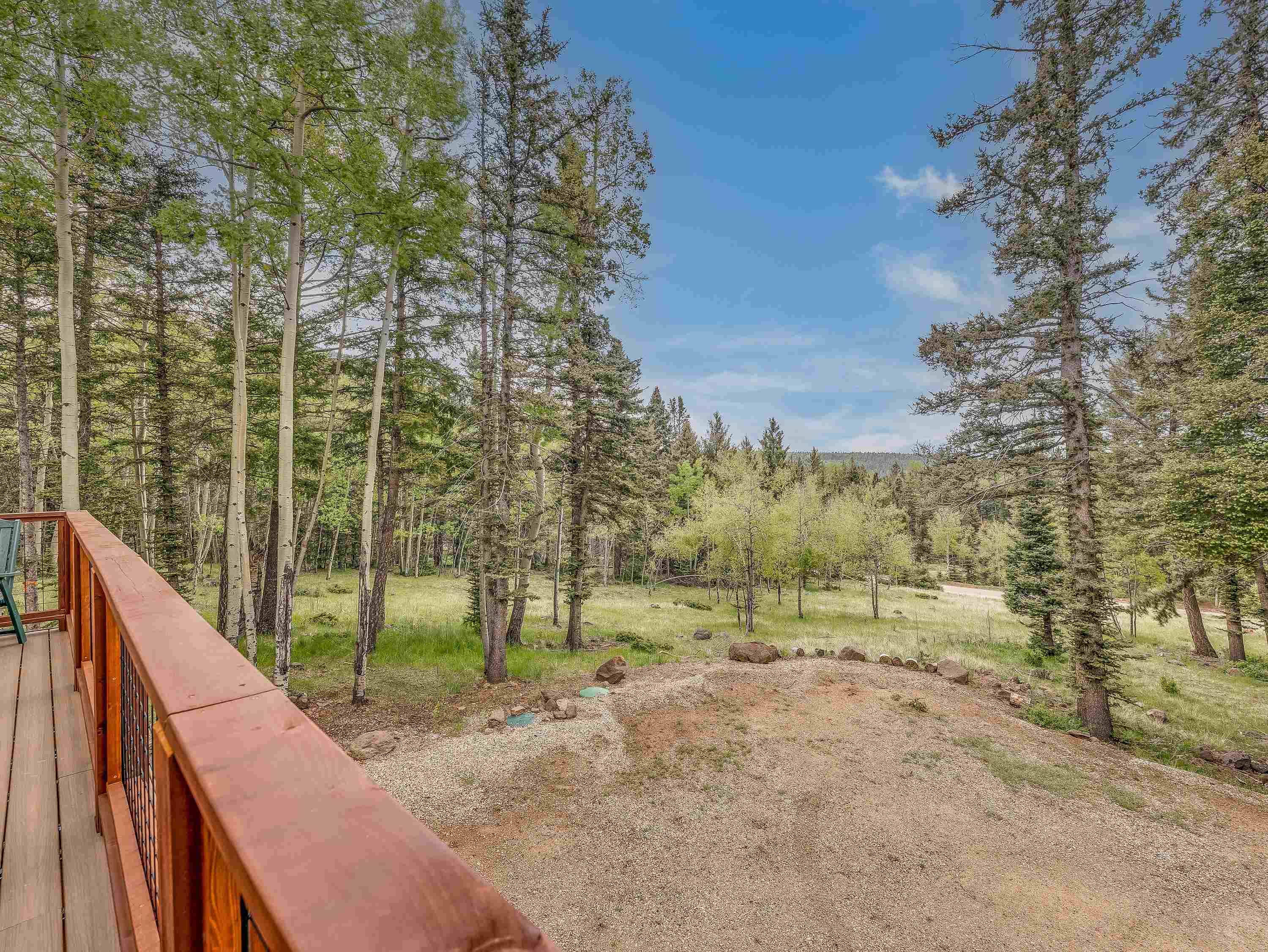 33 Vista Del Sur Rd #33, Angel Fire, Texas image 48